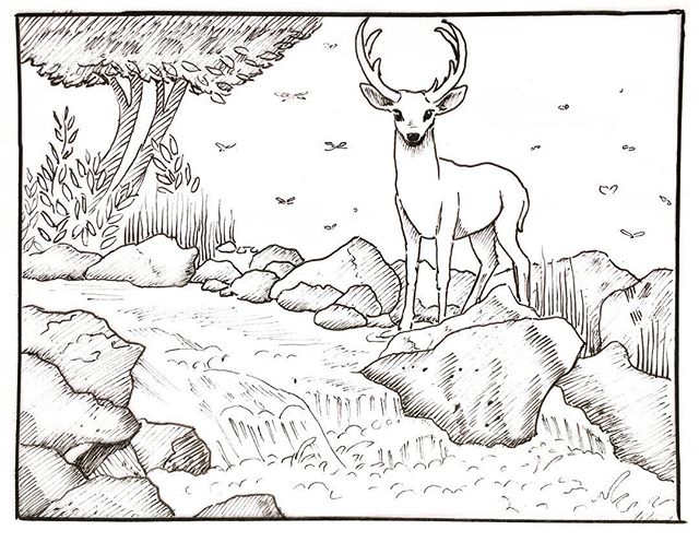 Inktober day 10: &ldquo;Flowing&rdquo; a sketch of a cascade.
#inktober, #penandink, #deer, #sketchbook