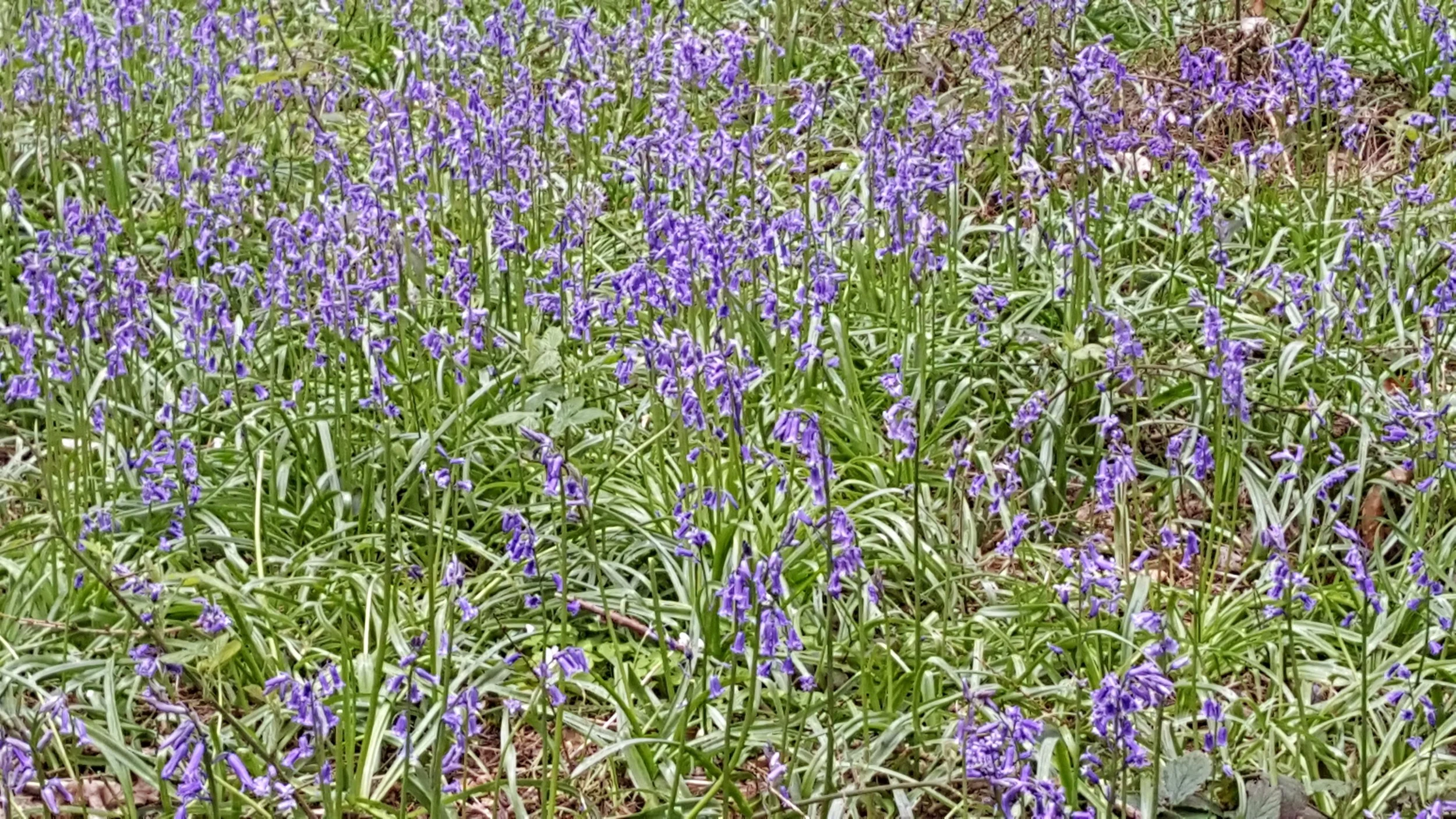 20160502_135505.jpg
