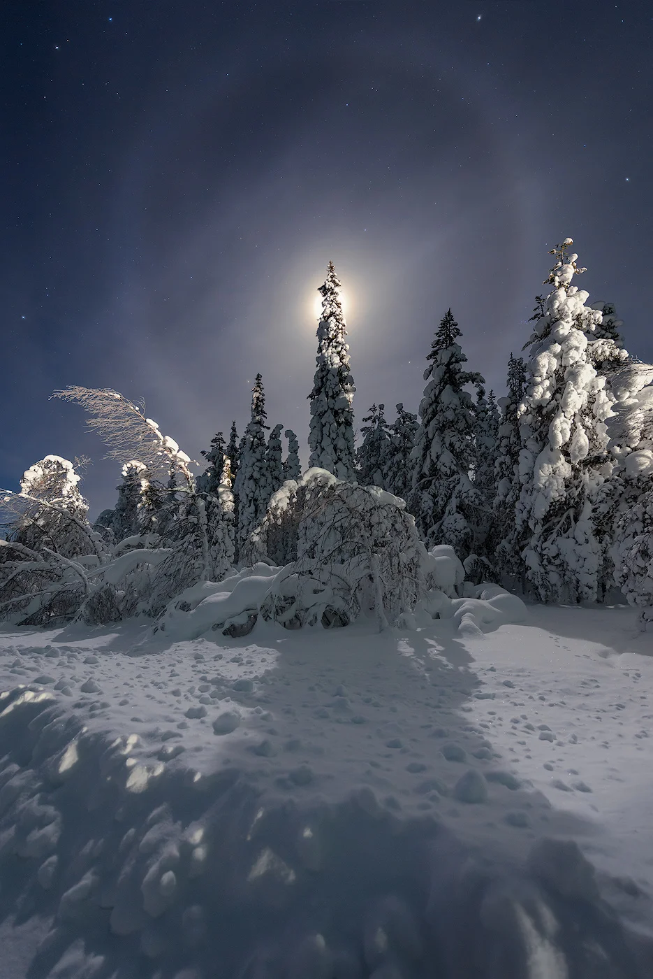 Shine on Halo Moon