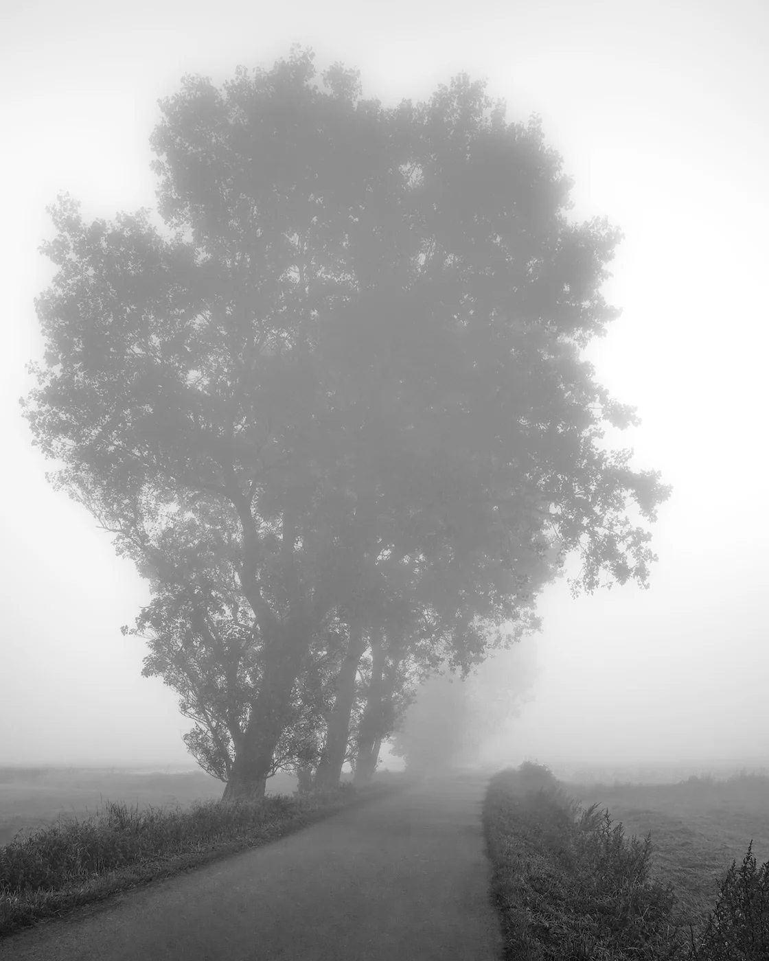 The road to...