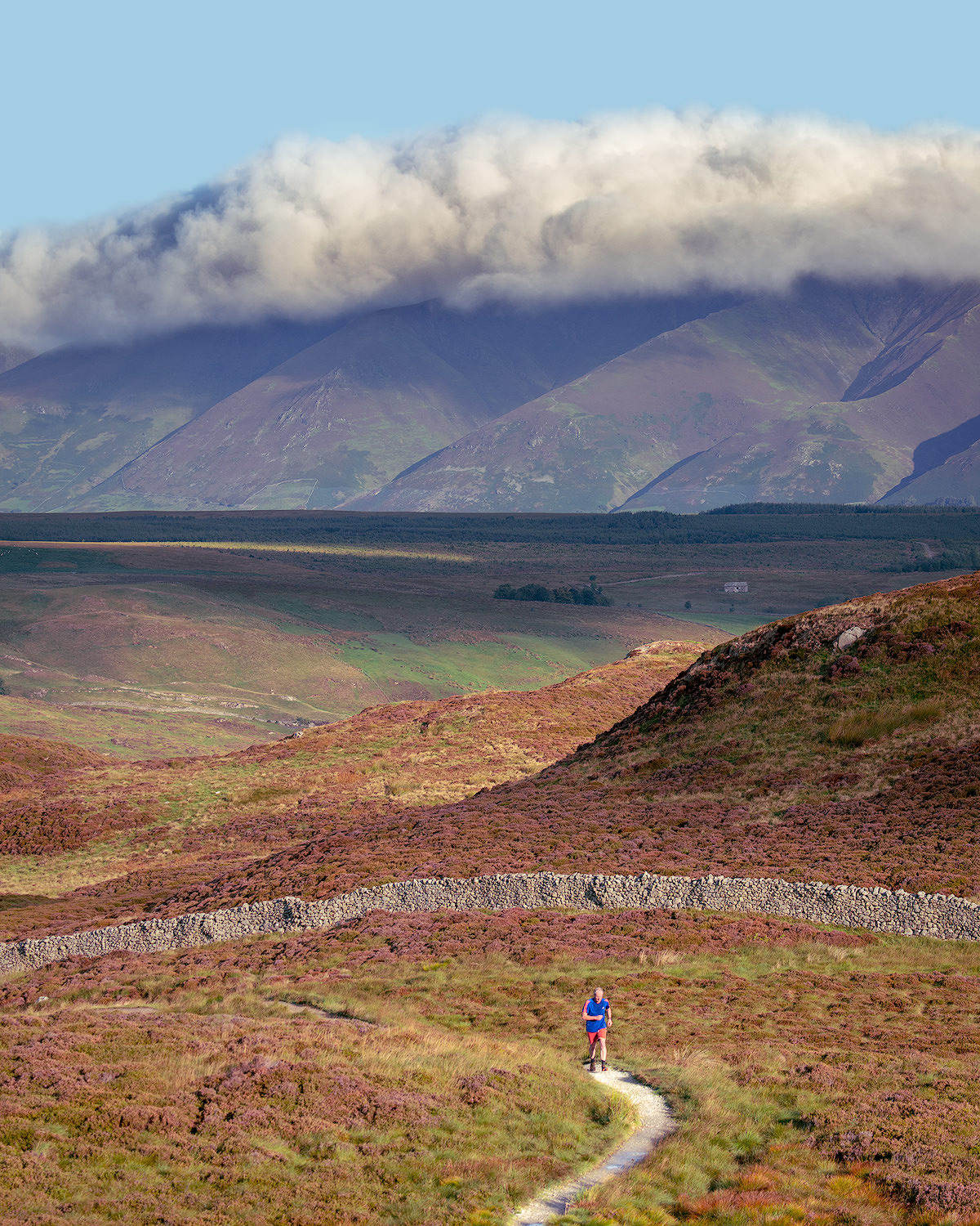 The Loneliness of the Long Distance Runner 