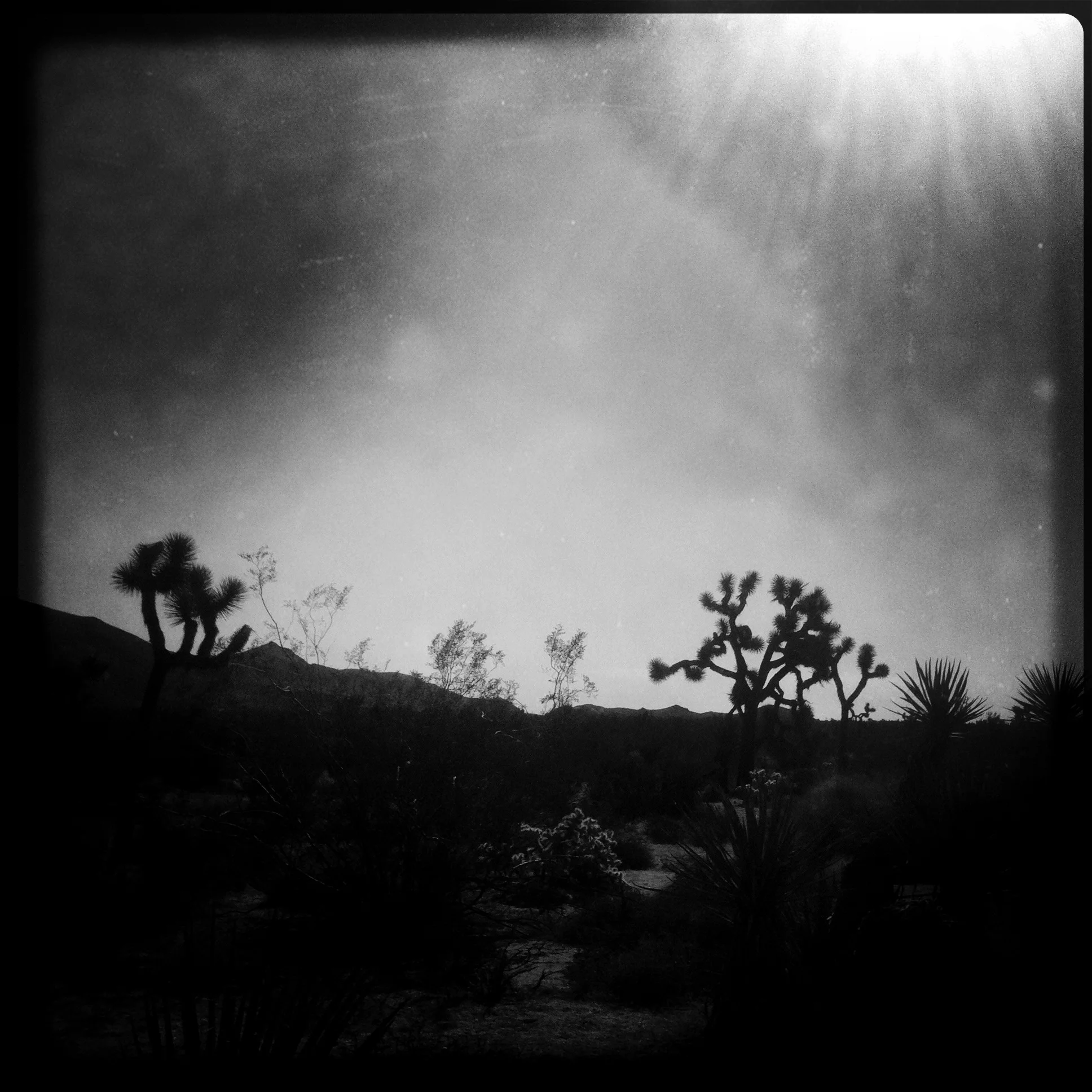 DESERTO IMG 1394.jpg