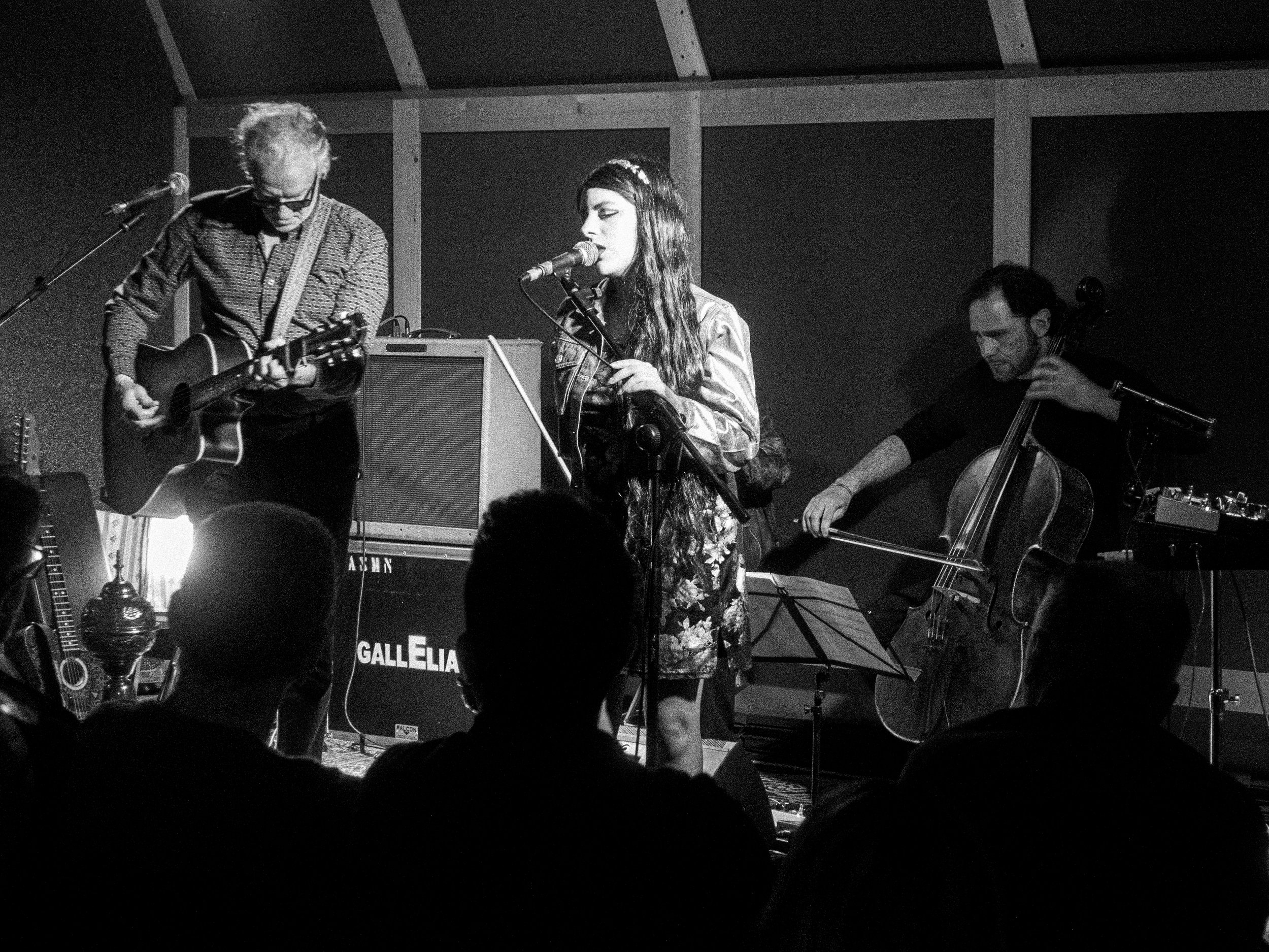 DSC08409-8_Mick Harvey & Amanda Acevedo live in Bologna © Vittorio Bongiorno.jpg