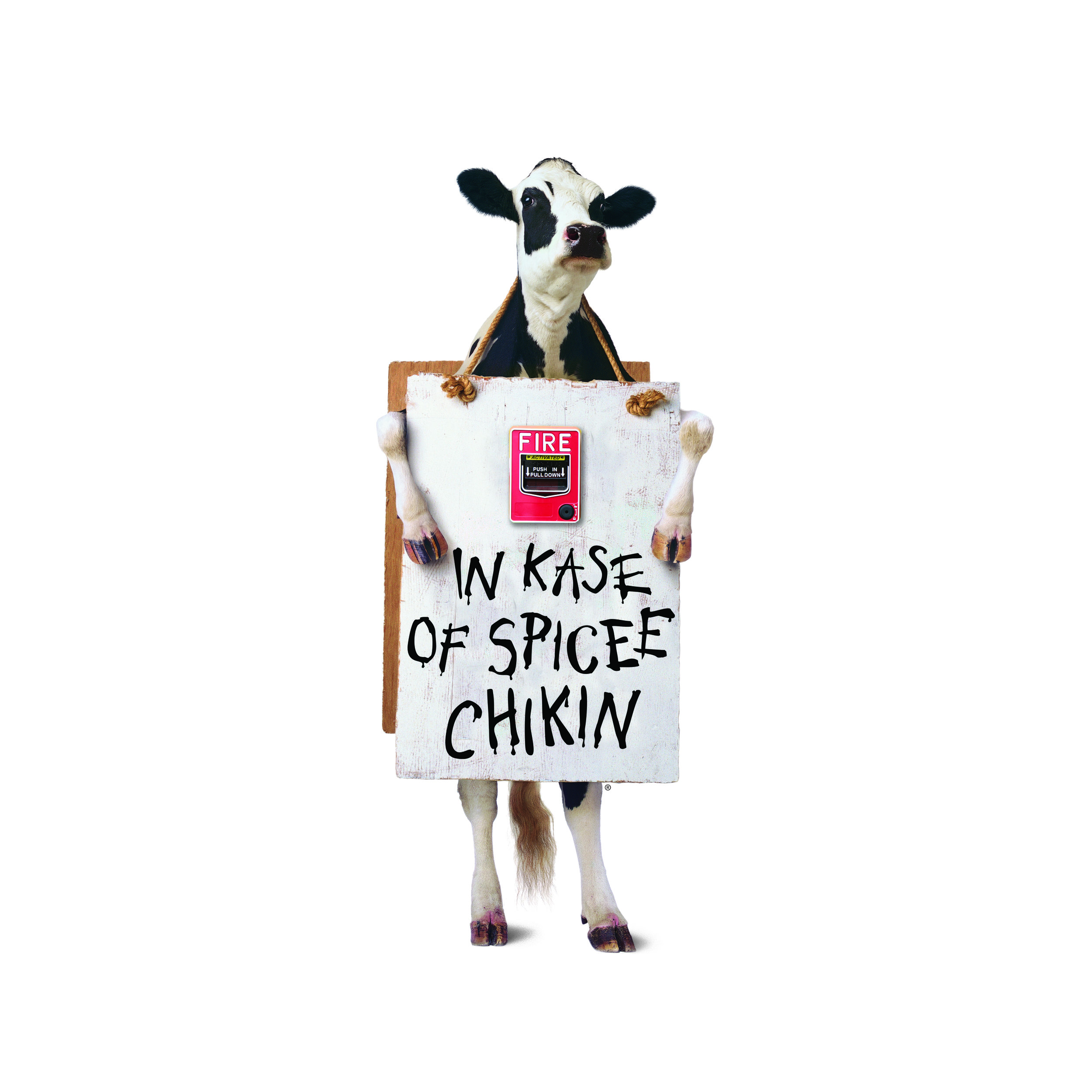 CFA_SpiceCows_Alarm.jpg