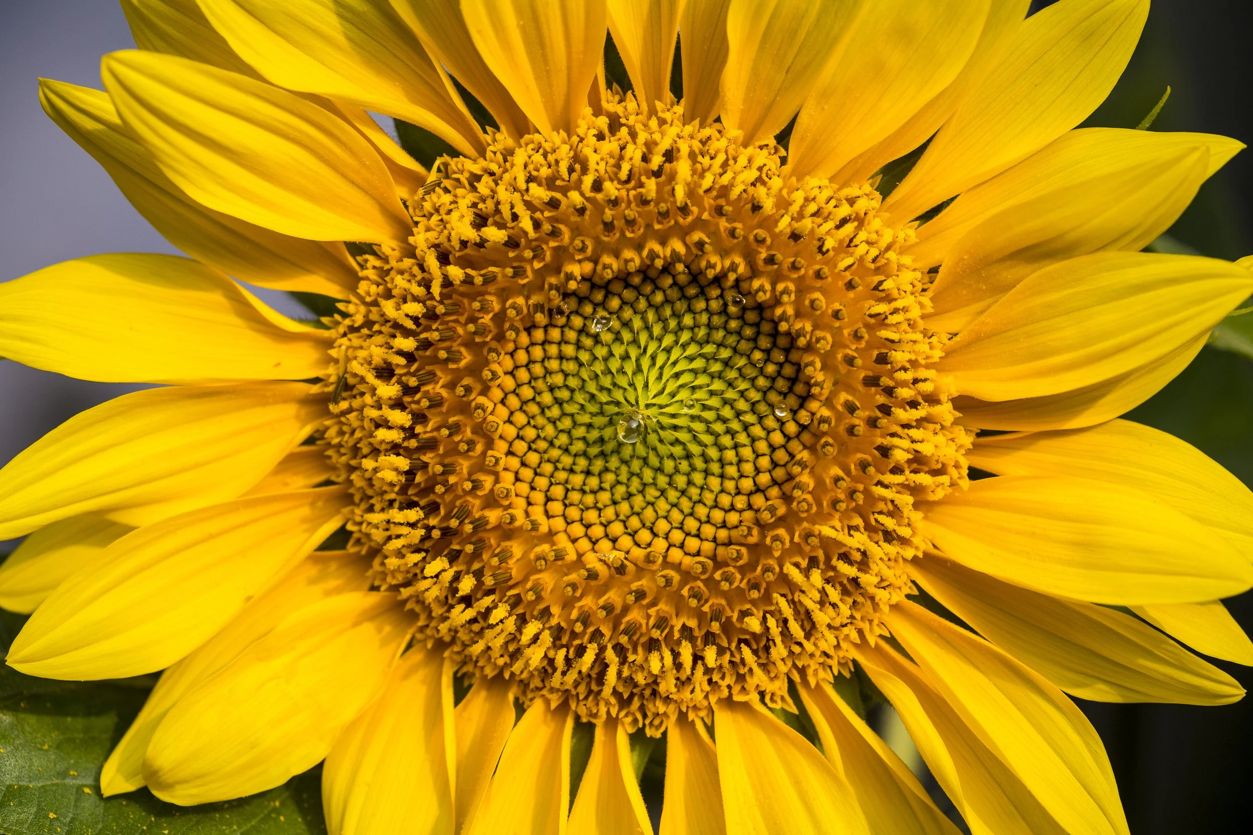 Export_72dpi-20230831 083346-5018.jpg