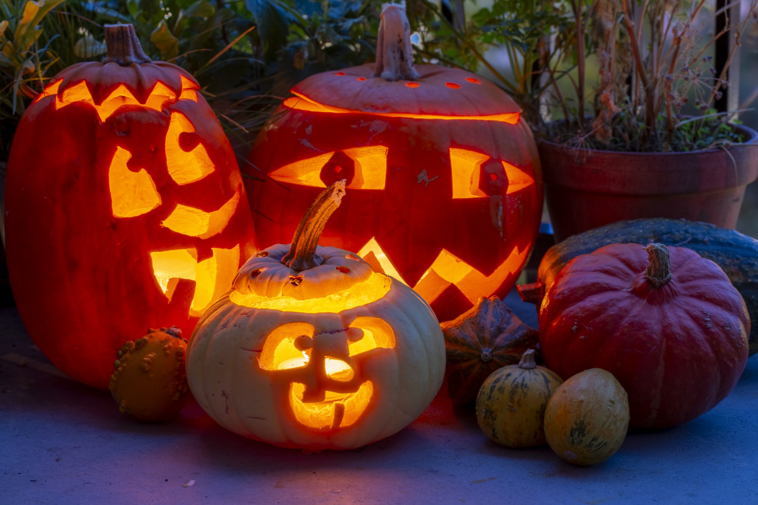 Export_72dpi-20221026 181320-.jpg