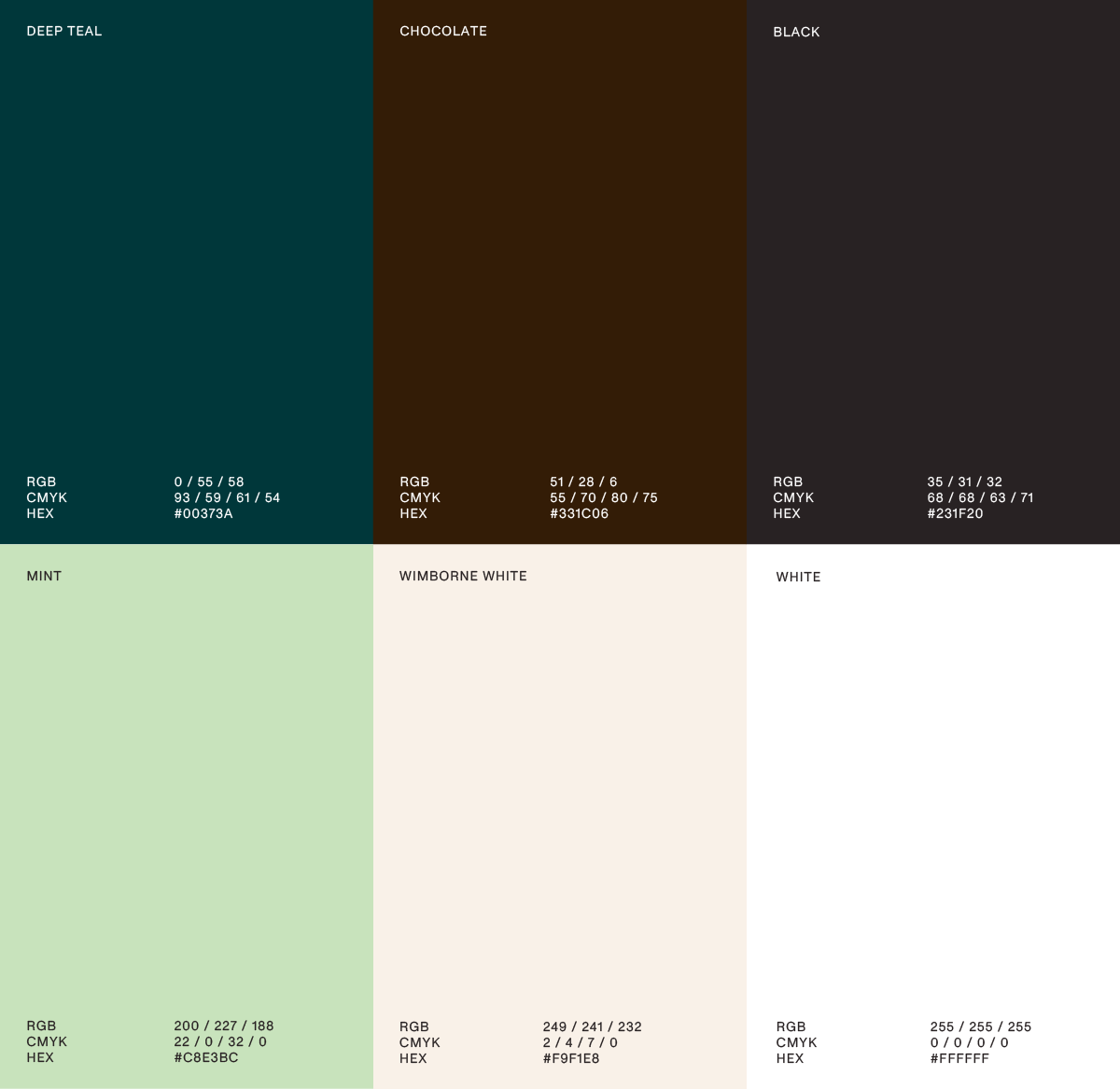 hayostudio_color_palette.png