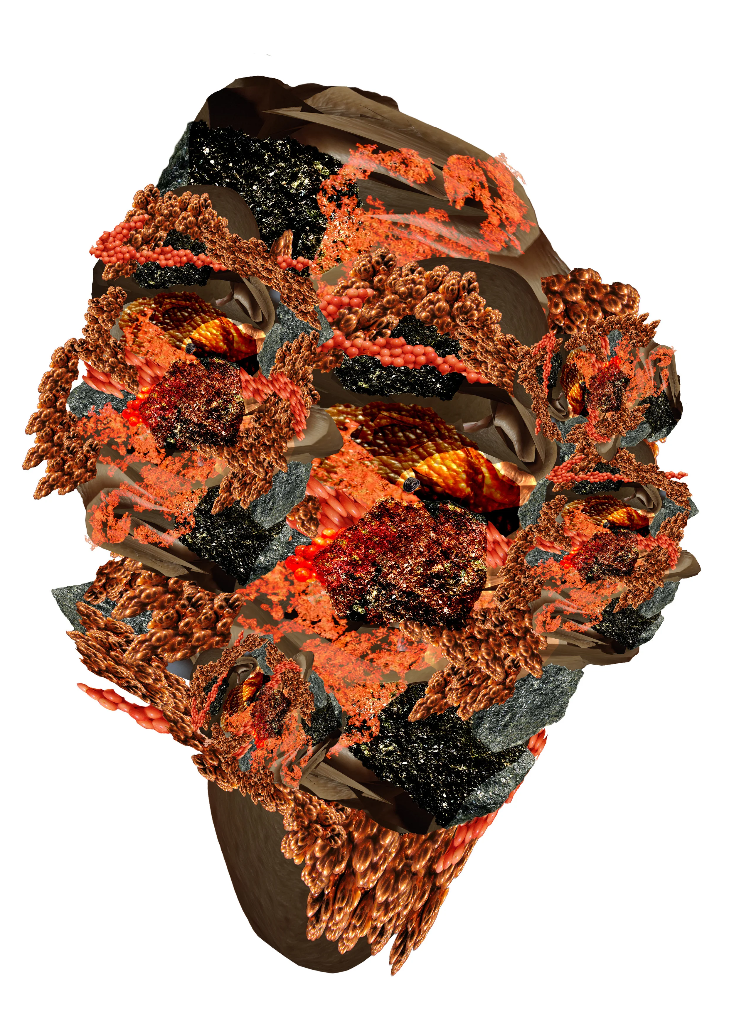 transformer_blackdream1.jpg