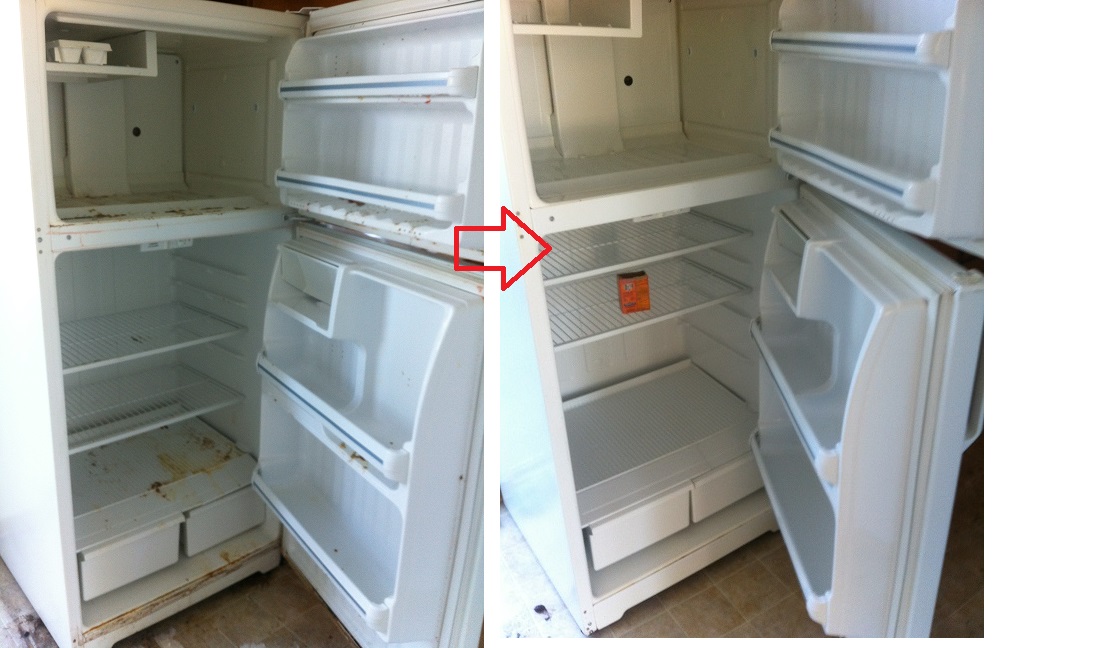 fridge interior before after.jpg