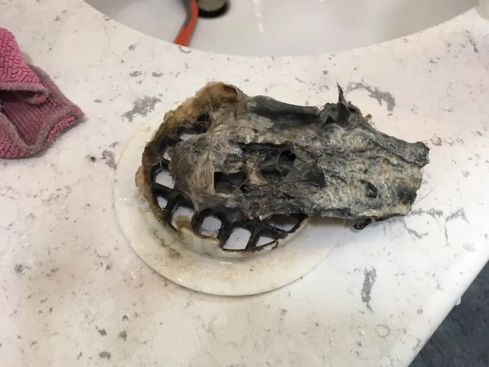 Shower drain