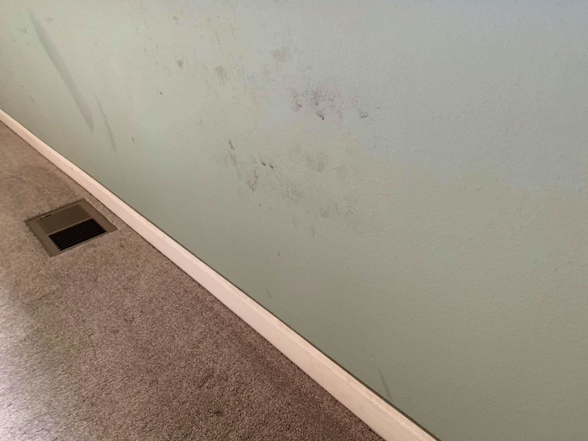  We clean walls during detail cleans!  If you’re our routine customer we will do our best to keep your walls scuff free during your regular appointments.  If we see it, we wipe it! 
