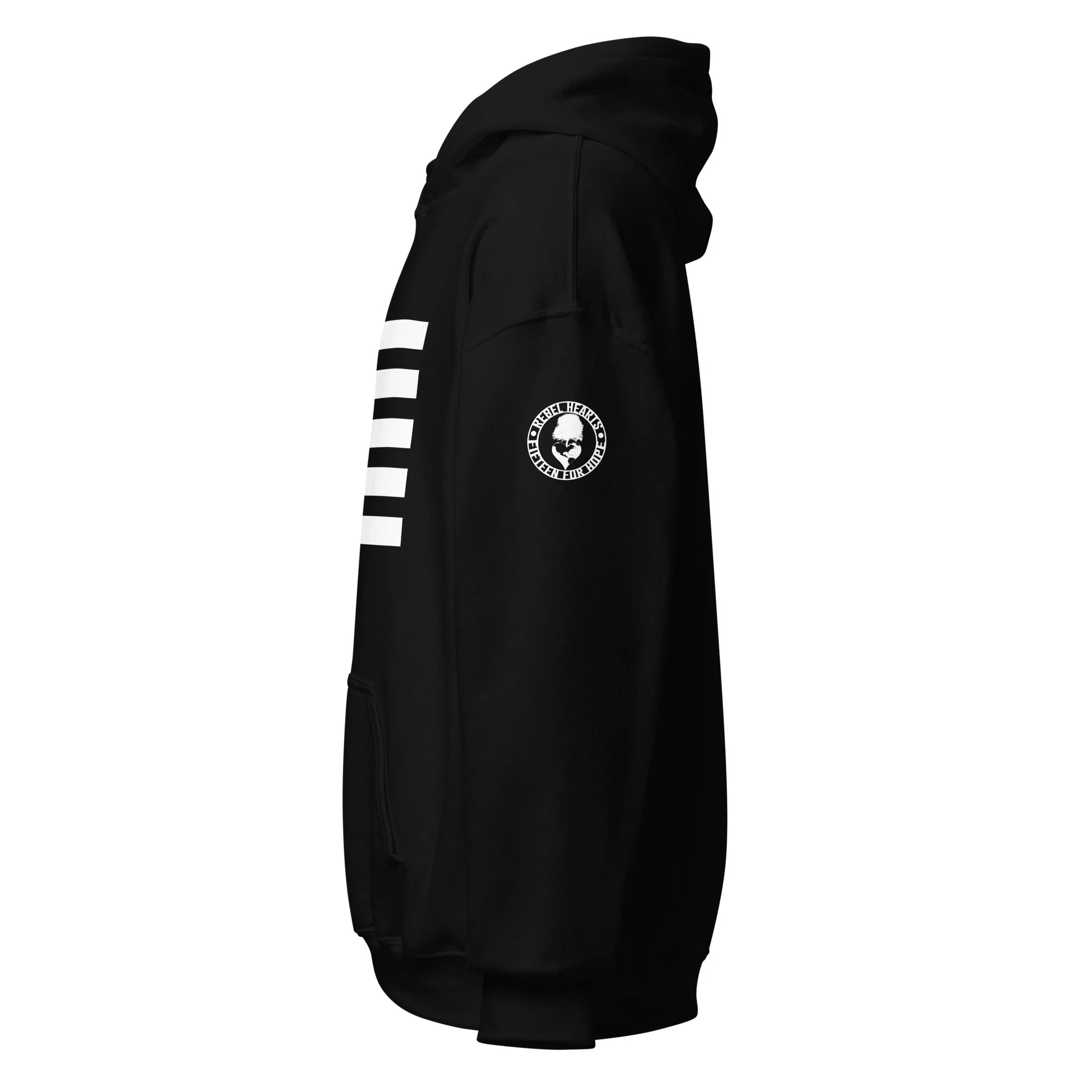 unisex-heavy-blend-hoodie-black-left-670873833e087.jpg