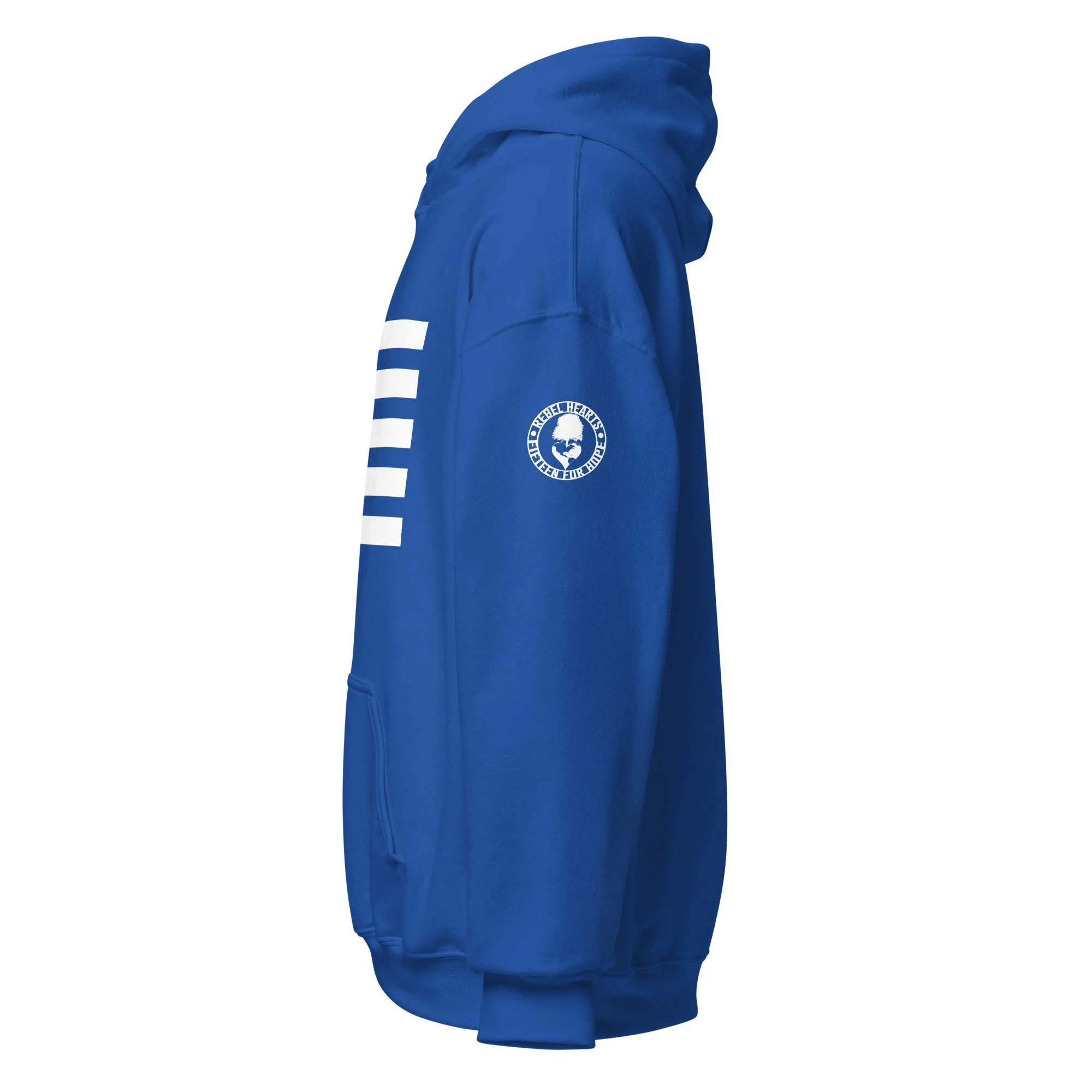 unisex-heavy-blend-hoodie-royal-left-67087384049ad.jpg