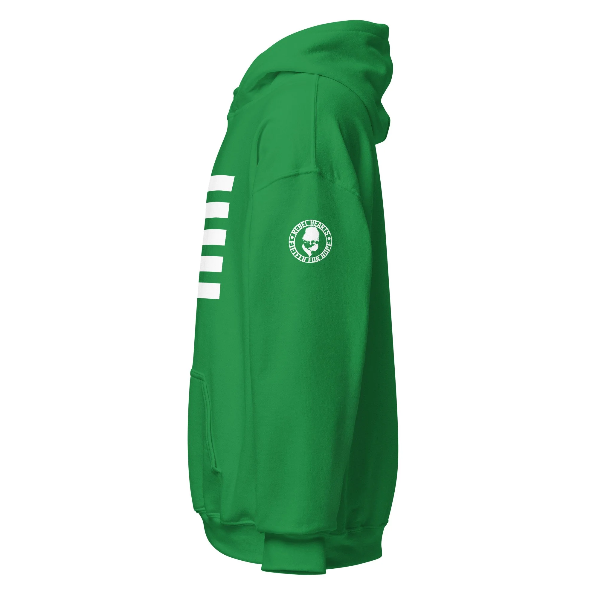 unisex-heavy-blend-hoodie-irish-green-left-67087384ecbcf.jpg