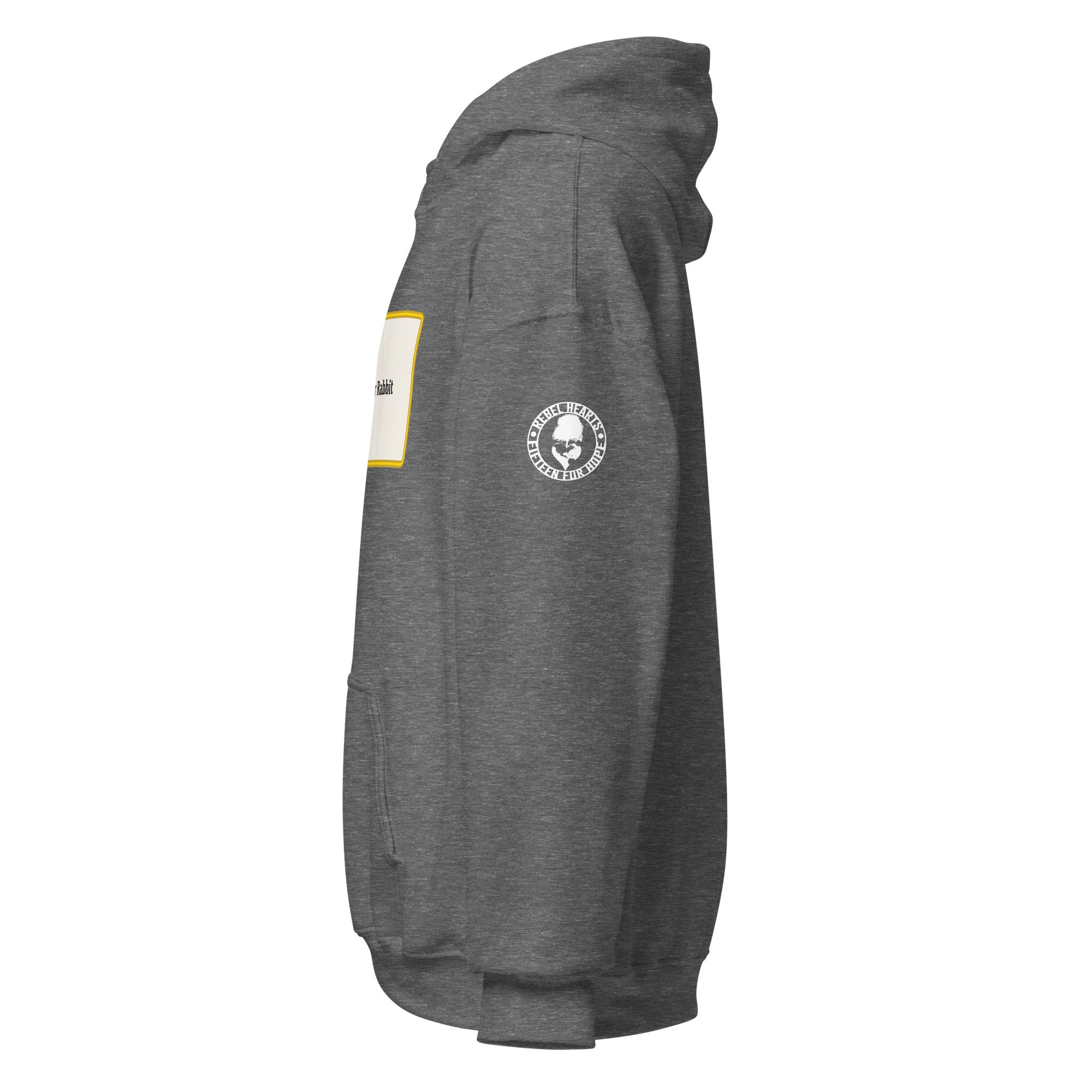 unisex-heavy-blend-hoodie-graphite-heather-left-68f45d668b59a.jpg