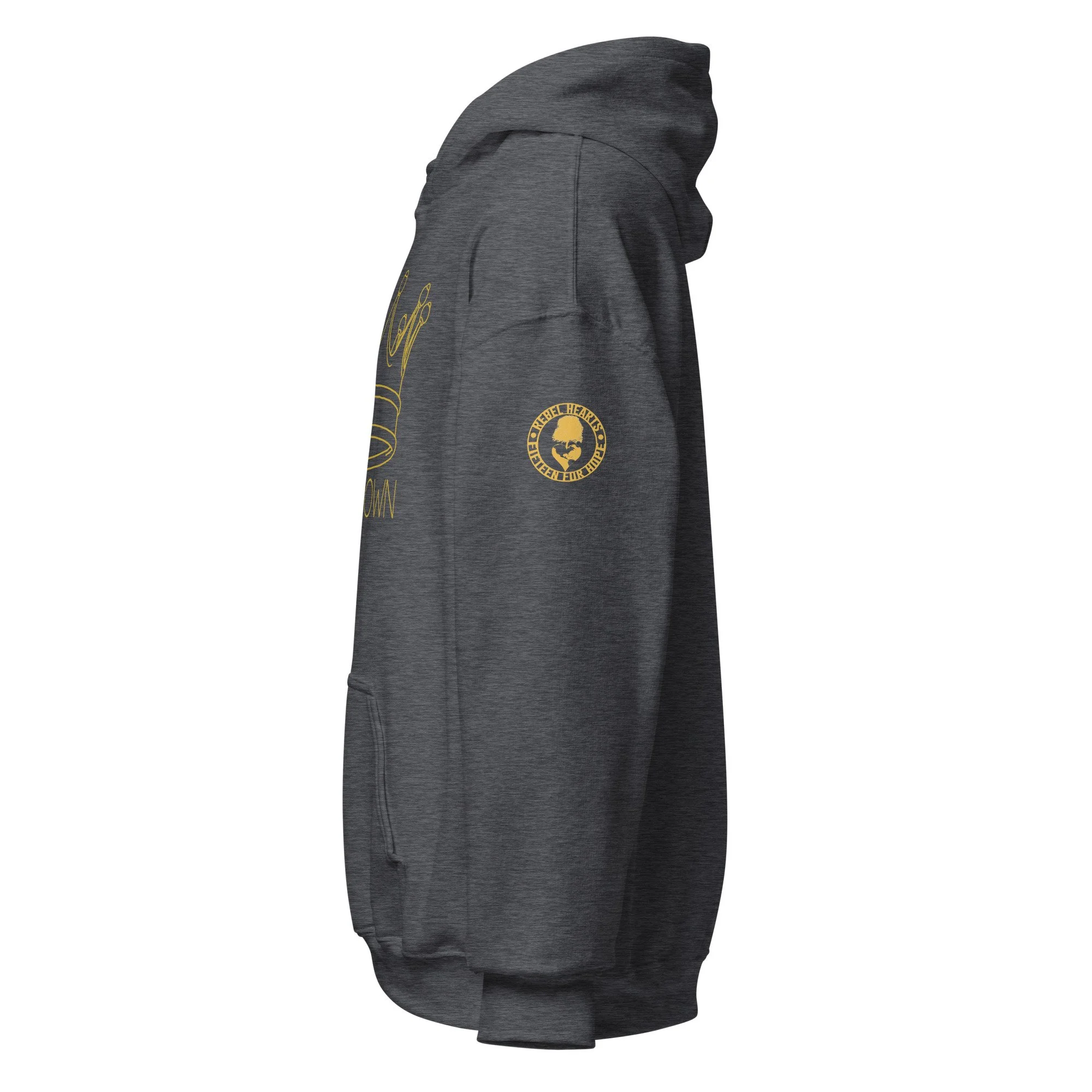 unisex-heavy-blend-hoodie-dark-heather-left-68f54a26db577.jpg