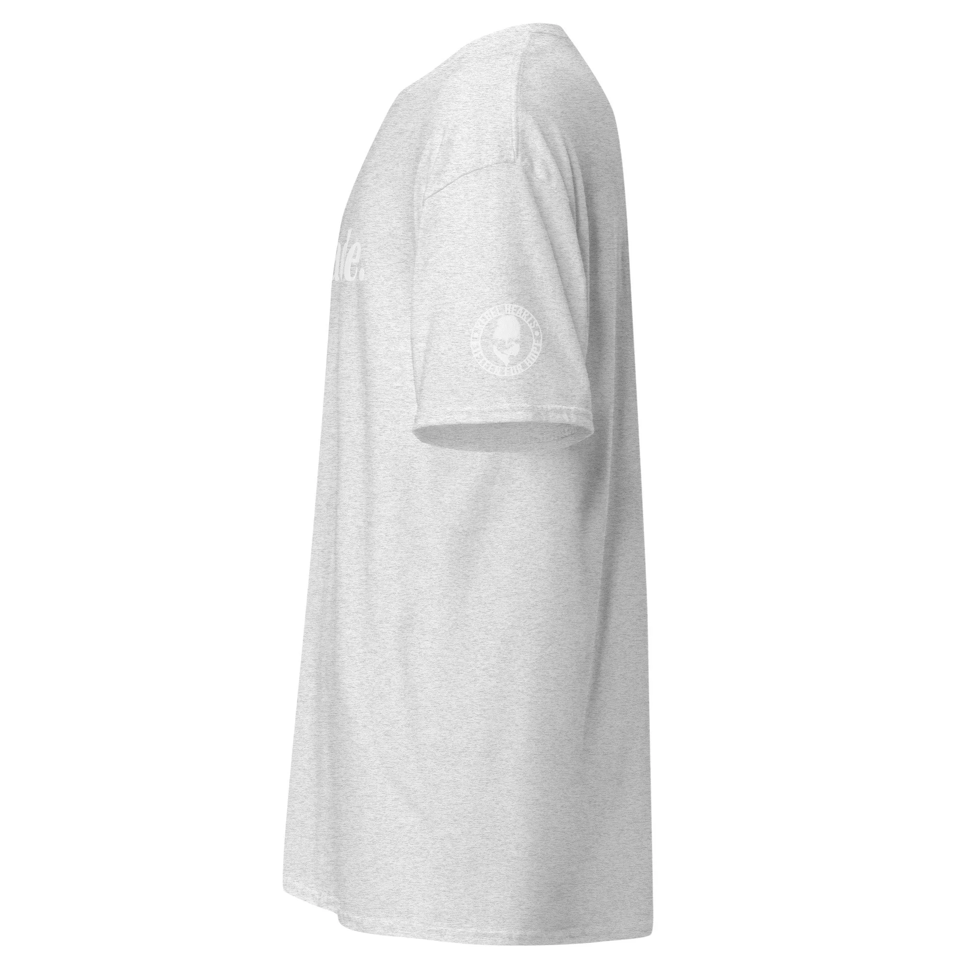 unisex-classic-tee-ash-left-68f54c3abf76d.jpg