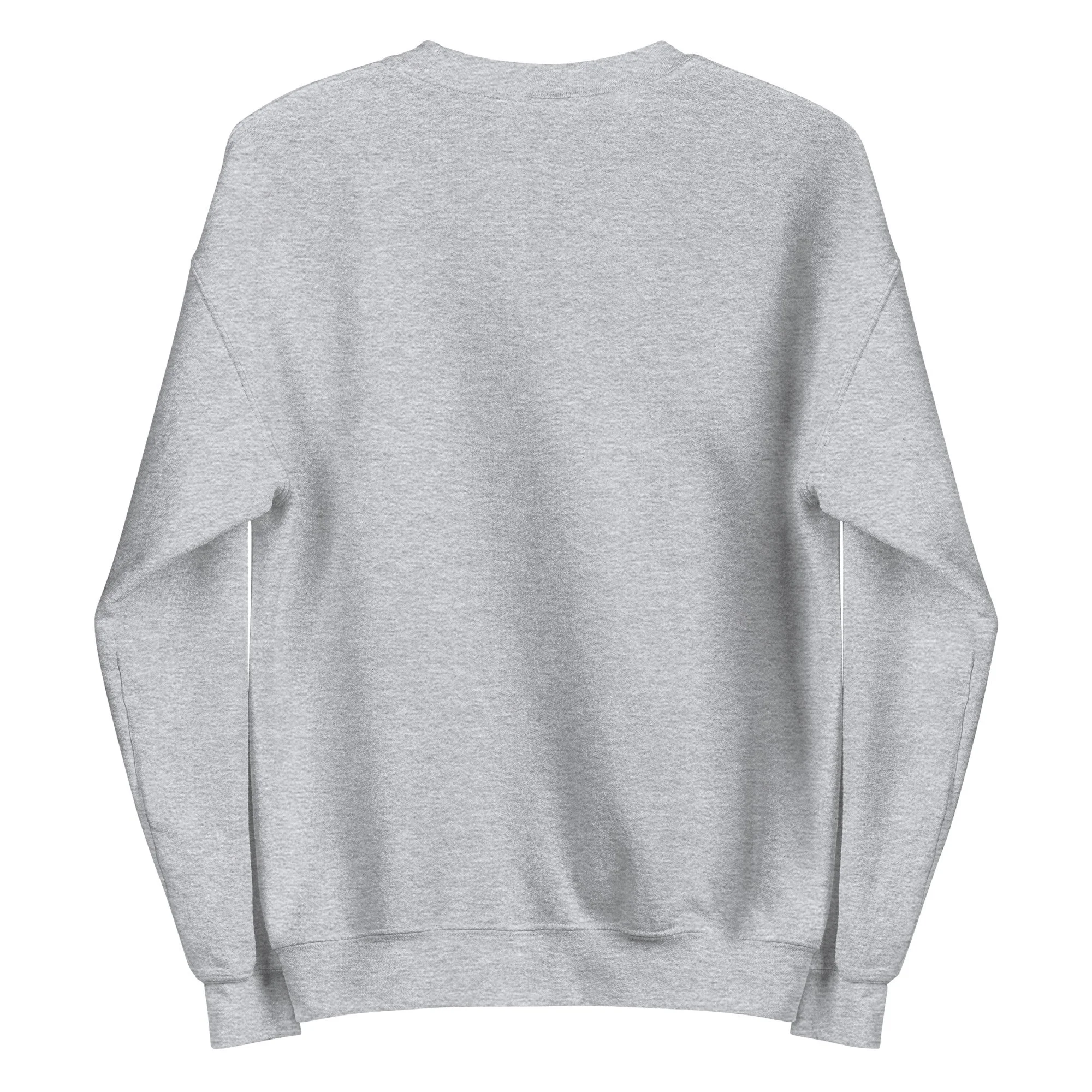unisex-crew-neck-sweatshirt-sport-grey-back-68f55c60ace16.jpg