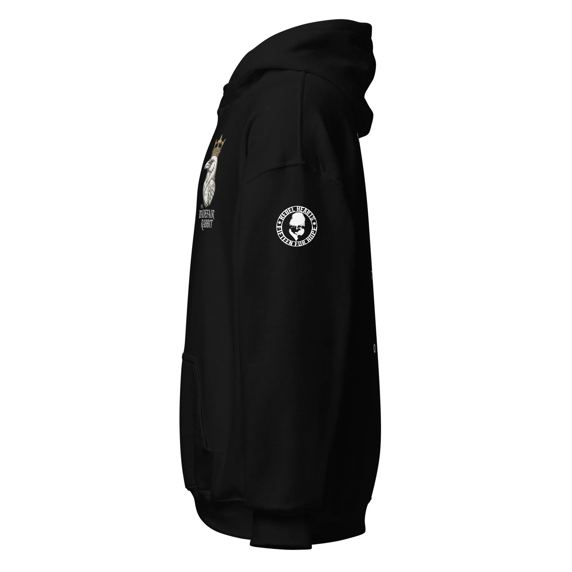 unisex-heavy-blend-hoodie-black-left-68f9ab3849480.jpg
