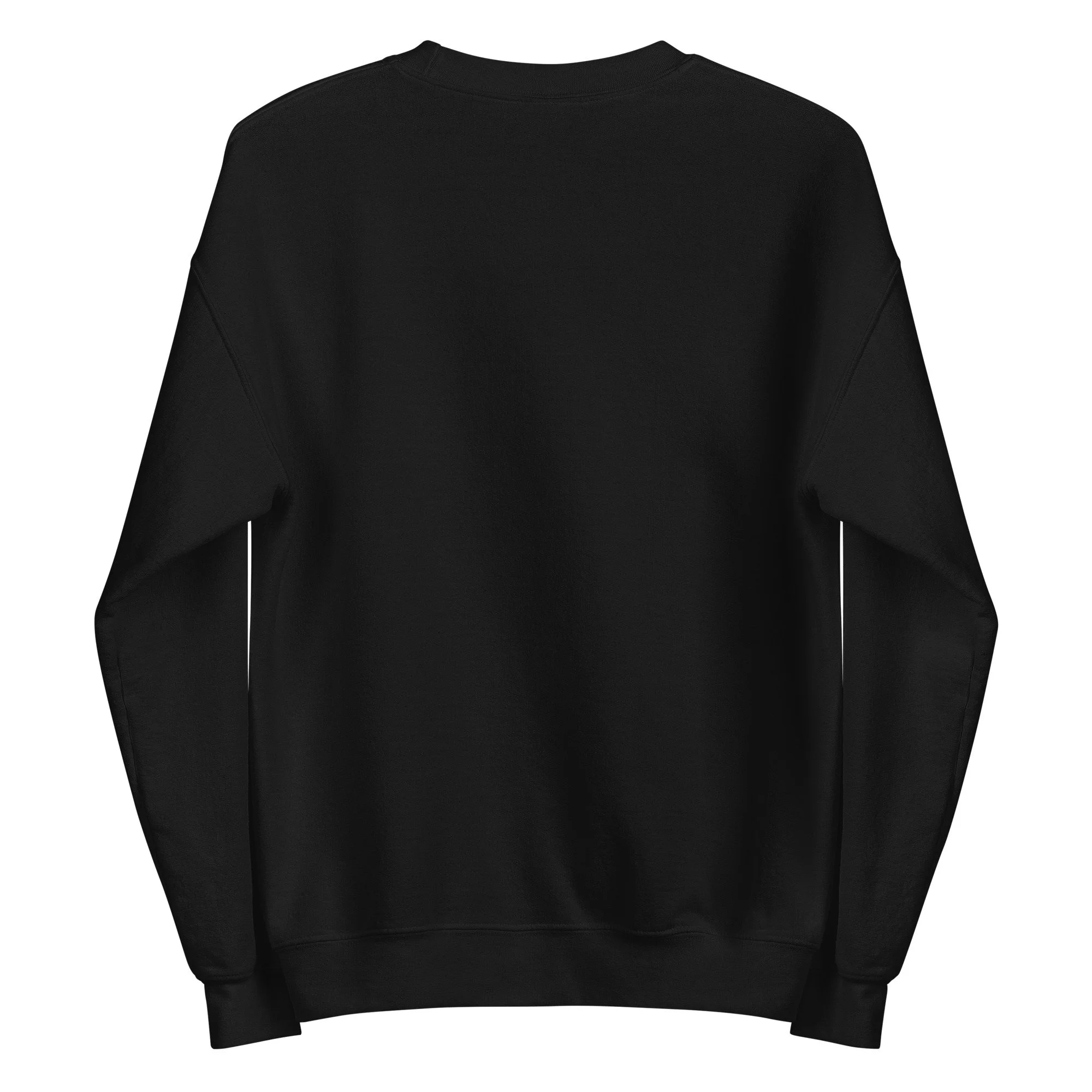 unisex-crew-neck-sweatshirt-black-back-69c0794257e30.jpg