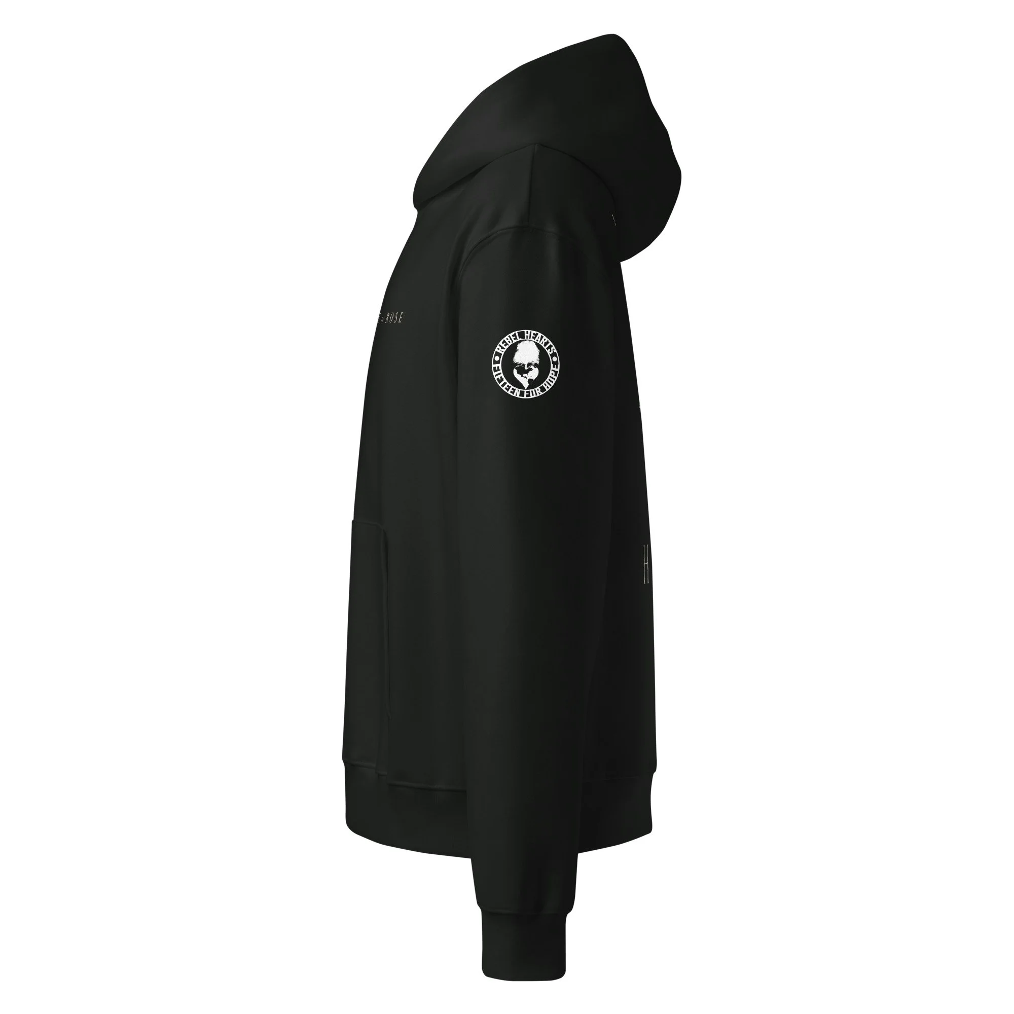 unisex-oversized-heavyweight-hoodie-vintage-black-left-6a0a4dd3a6c9f.jpg