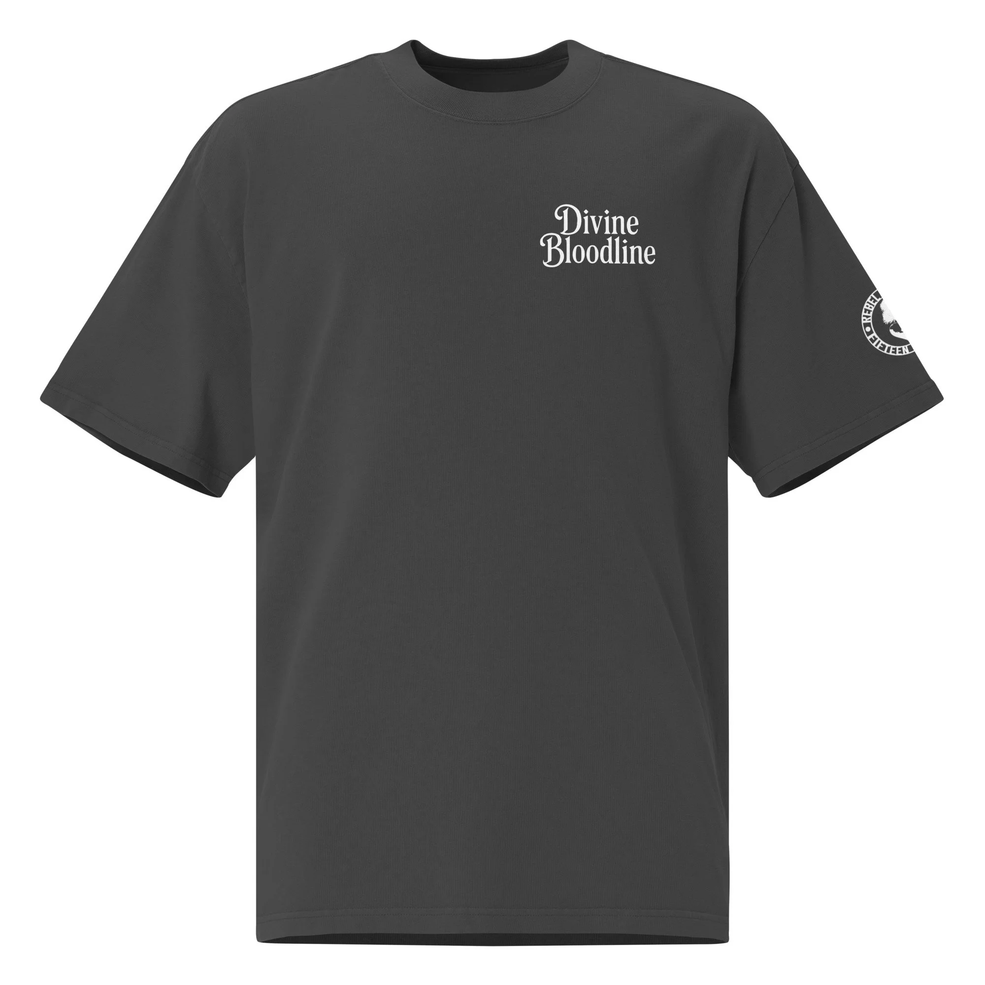 Divine Bloodline - Oversized Faded Tee