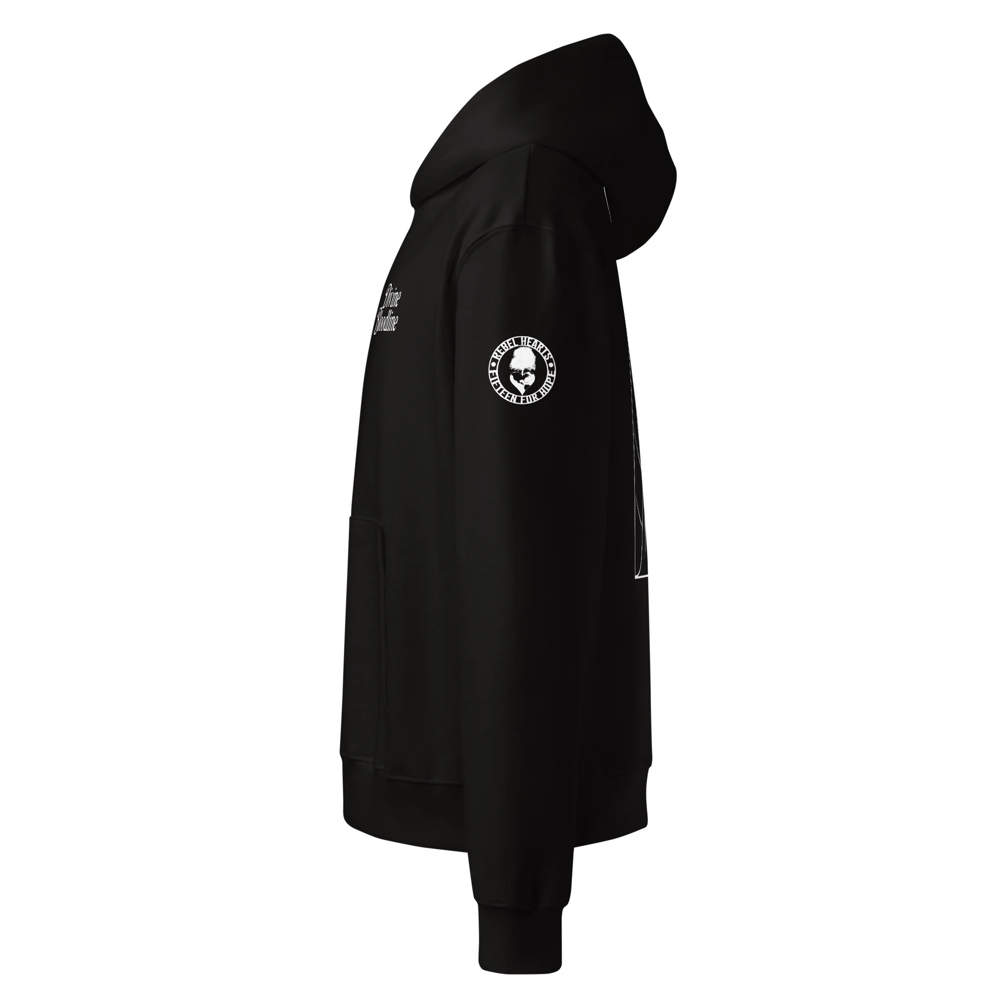 unisex-oversized-heavyweight-hoodie-black-left-6a0a7e3731638.jpg