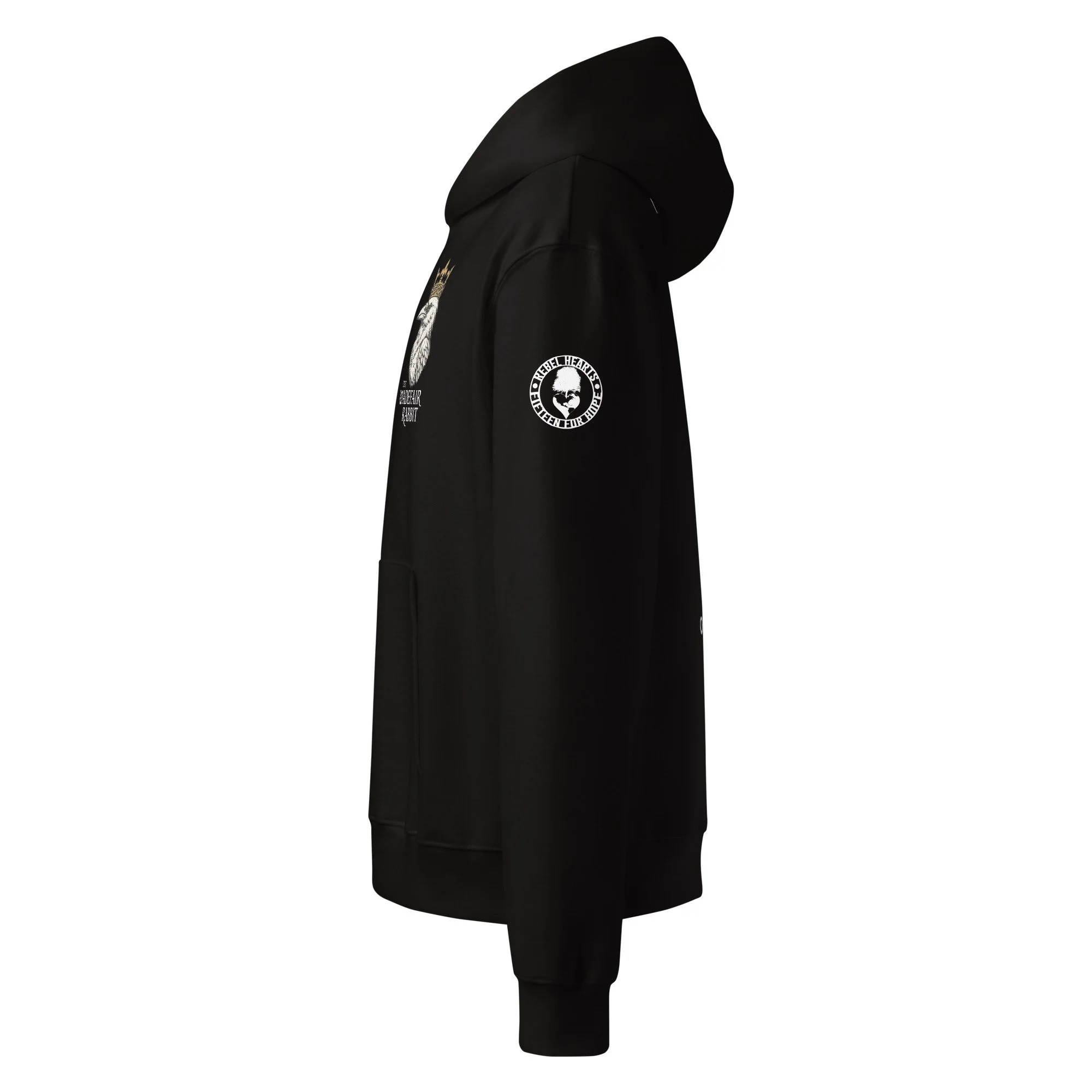 unisex-oversized-heavyweight-hoodie-black-left-6a0a8c6318e66.jpg