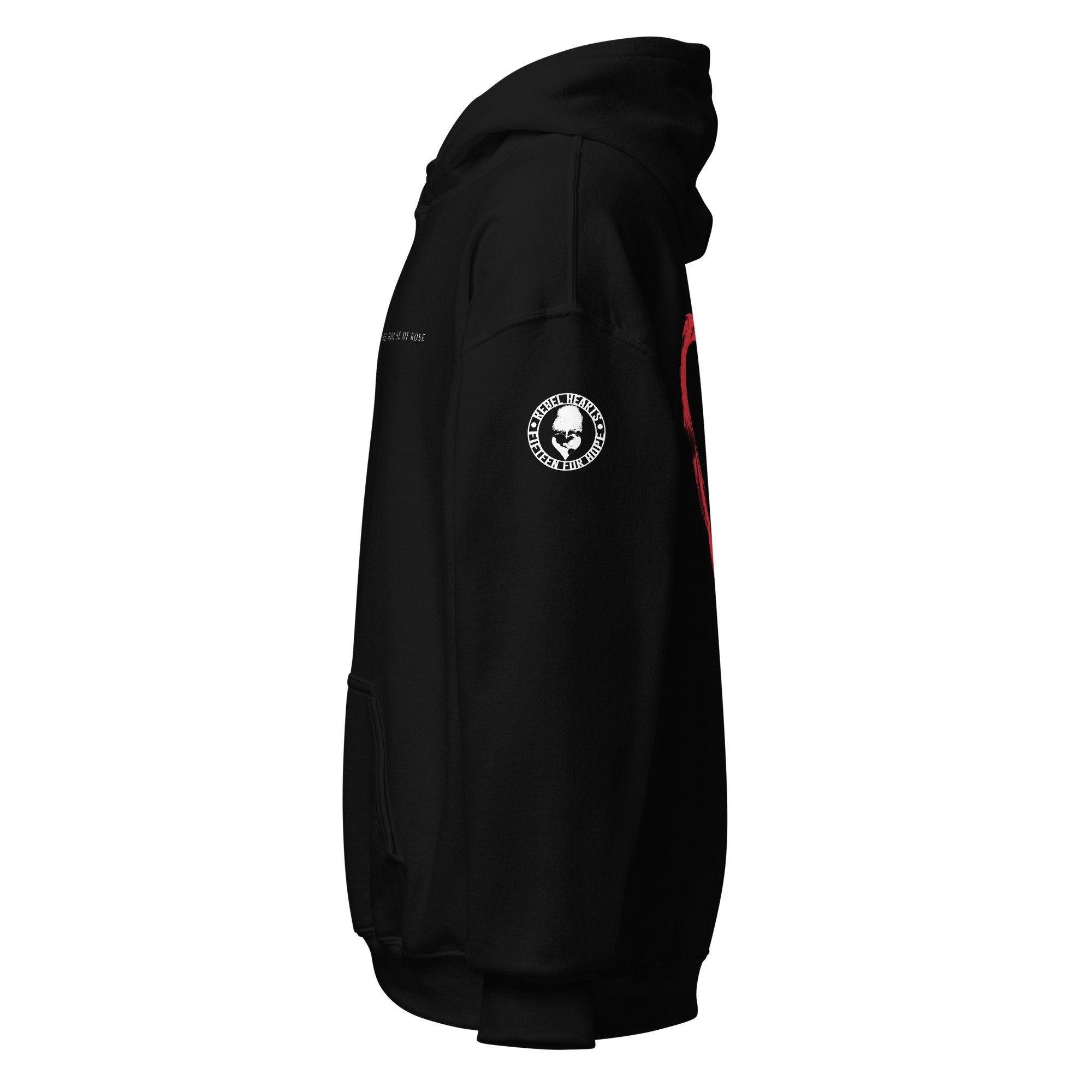 unisex-heavy-blend-hoodie-black-left-6a8b478f549ae.jpg