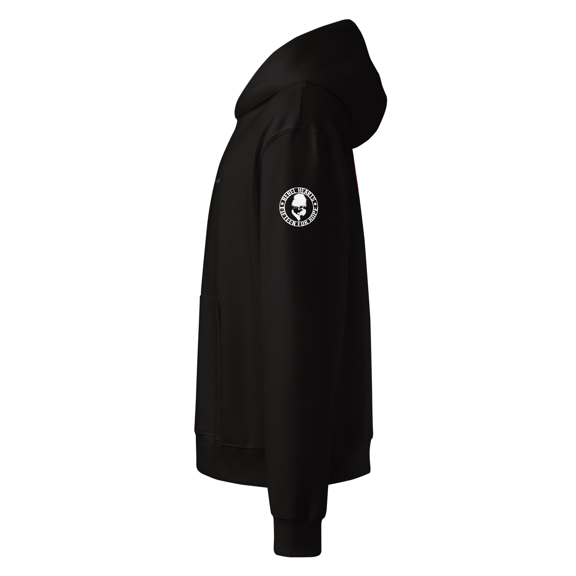unisex-oversized-heavyweight-hoodie-black-left-6a8b4ef07e604.jpg