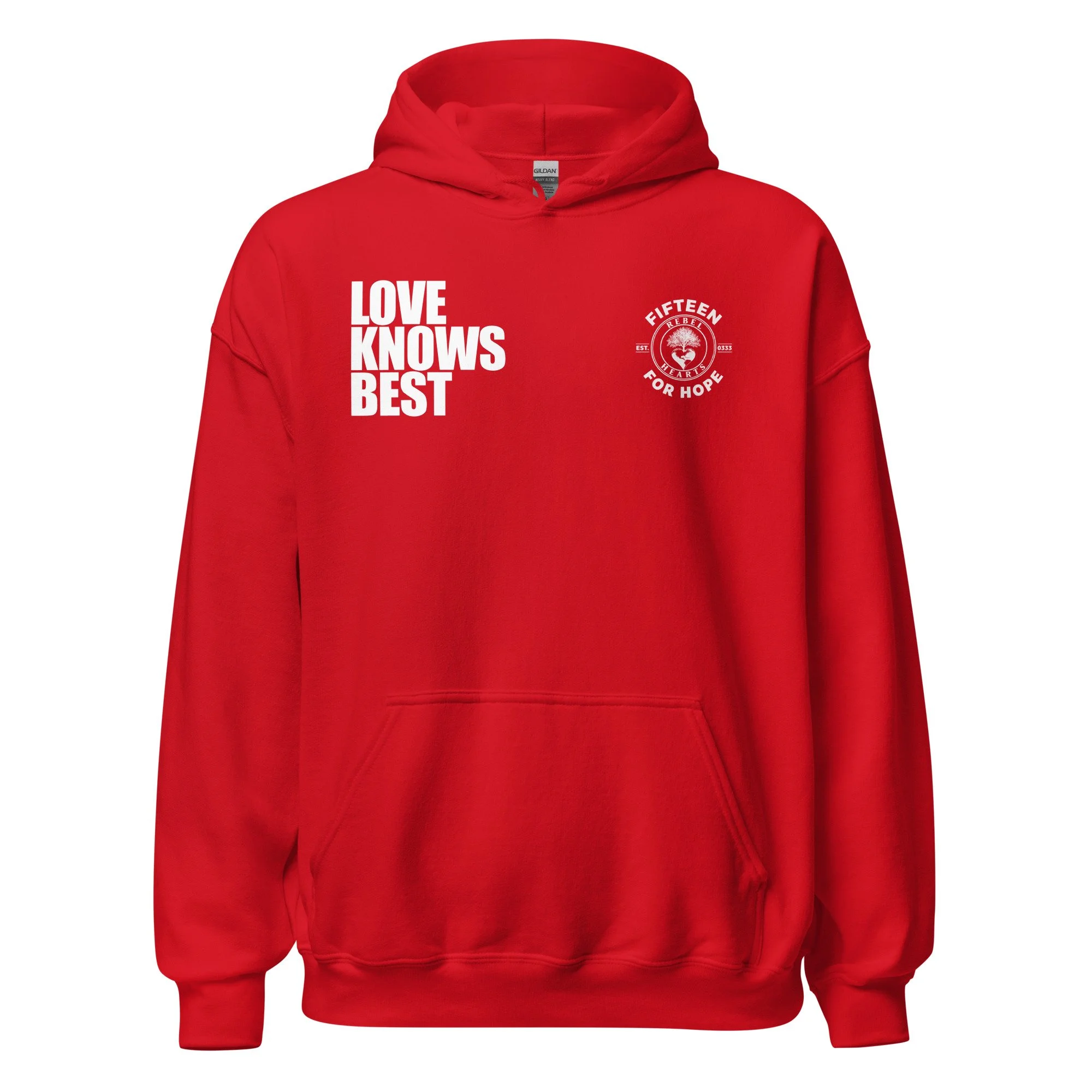unisex-heavy-blend-hoodie-red-front-6a9ba8f4dc594.jpg
