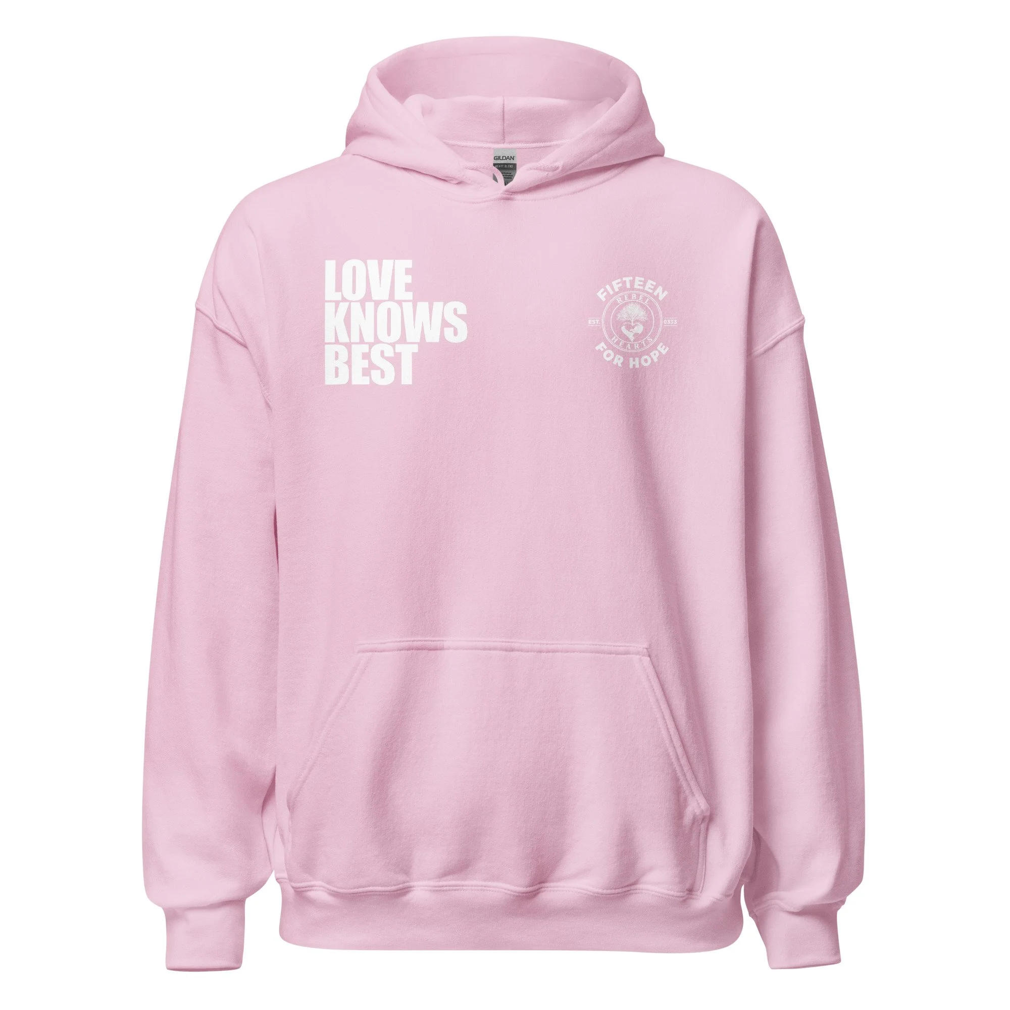 unisex-heavy-blend-hoodie-light-pink-front-6a9ba8f537957.jpg