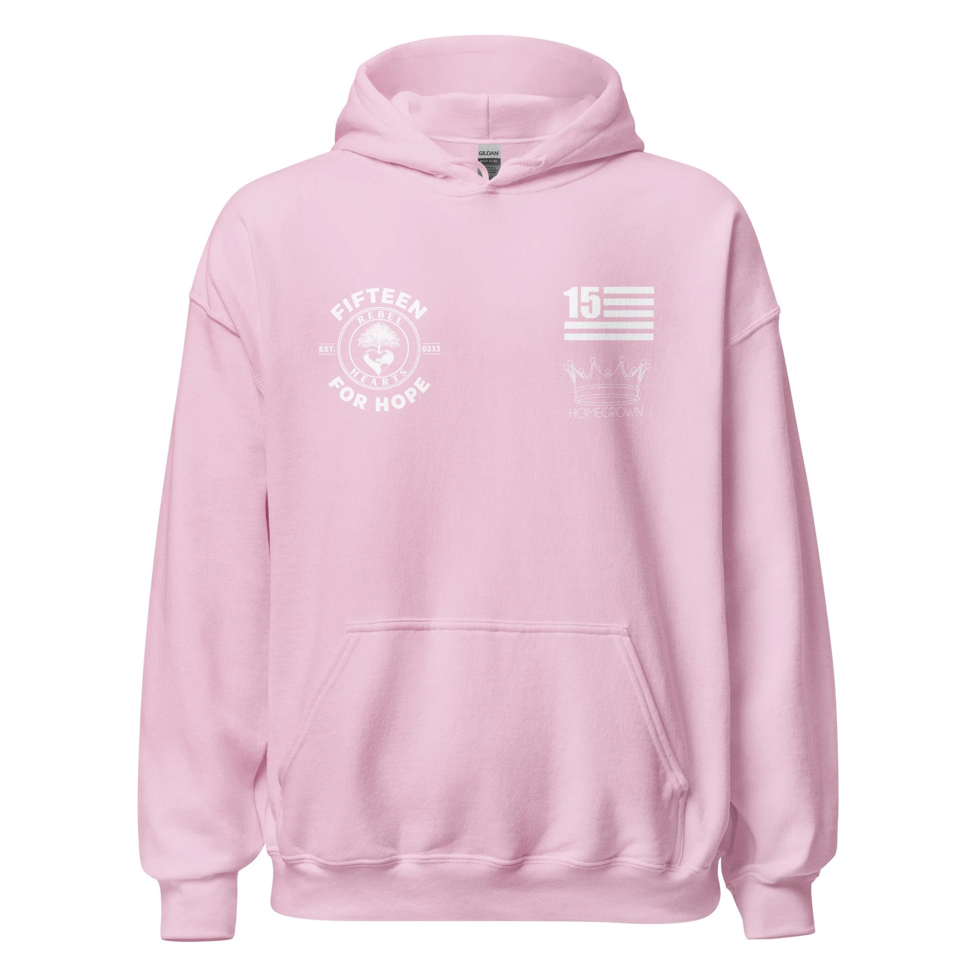 unisex-heavy-blend-hoodie-light-pink-front-6a9baa9067d72.jpg
