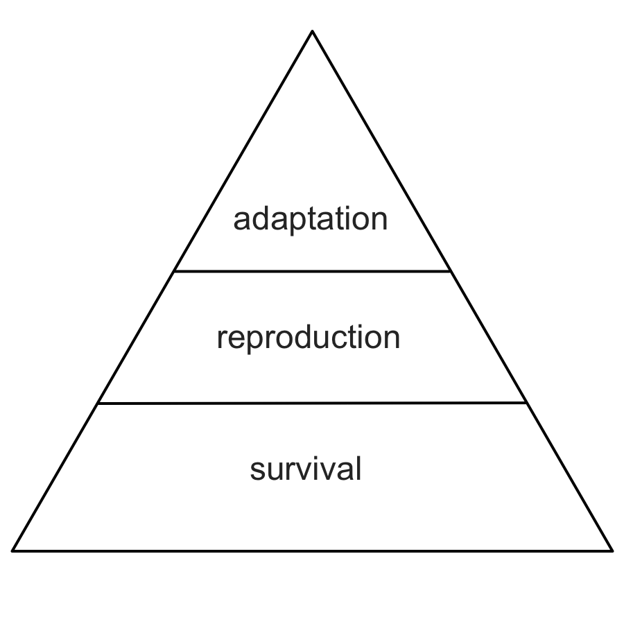 Survival, reproduction, and adaptation: the primary features of any self-directed system. Survival is the base layer, meaning that to survive is the most important proof that a system is successfully designed for its environment. Reproduction is the next layer, allowing successful systems to become more plentiful. Adaptation, finally, allows a system that has survived and reproduced to further adapt to its environment, giving it a chance to change or become even more successful.