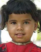 meheqppt_200803.jpg