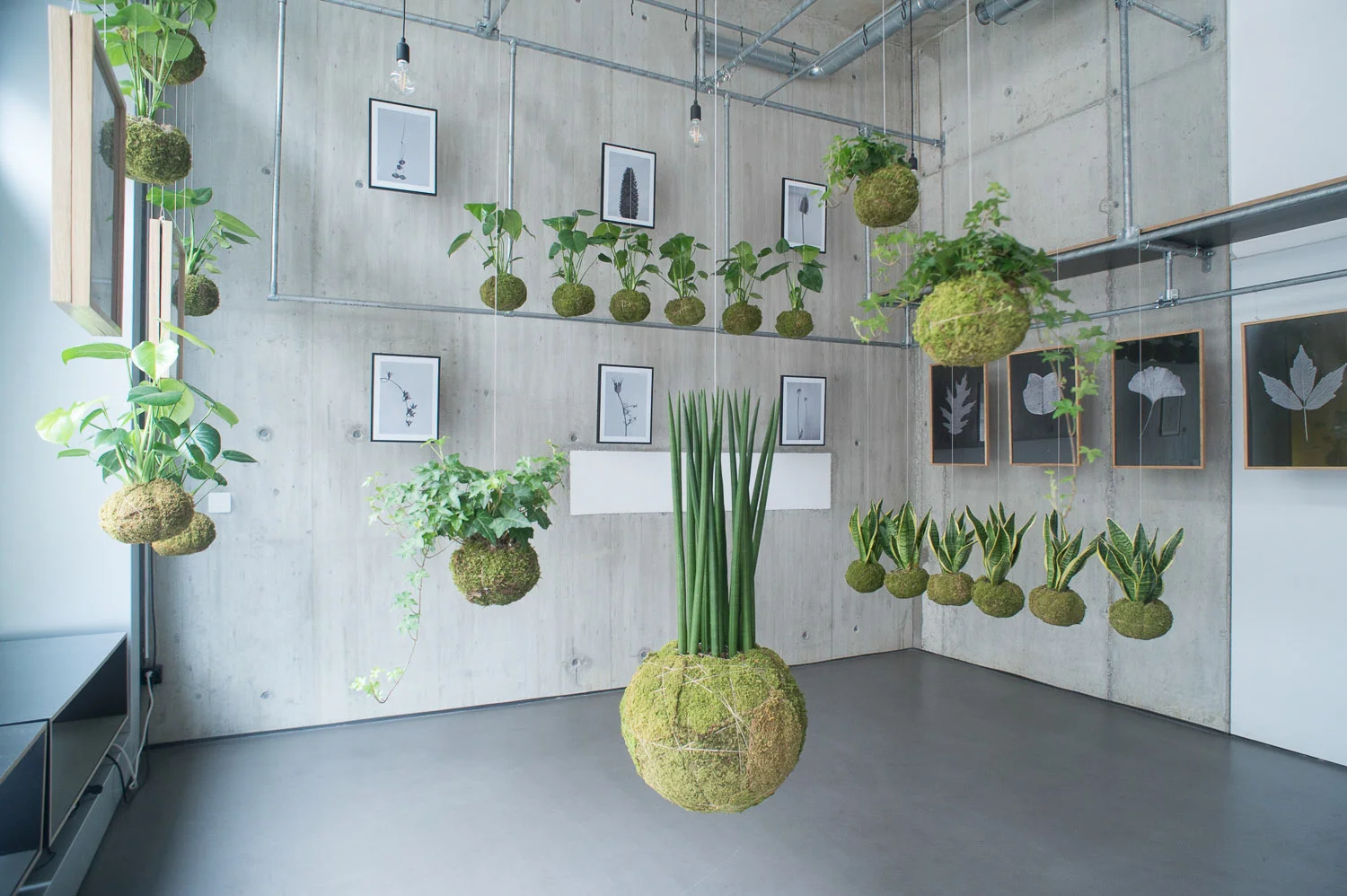 cosmos_galerie_installation_ausstellung_macherei2.jpg