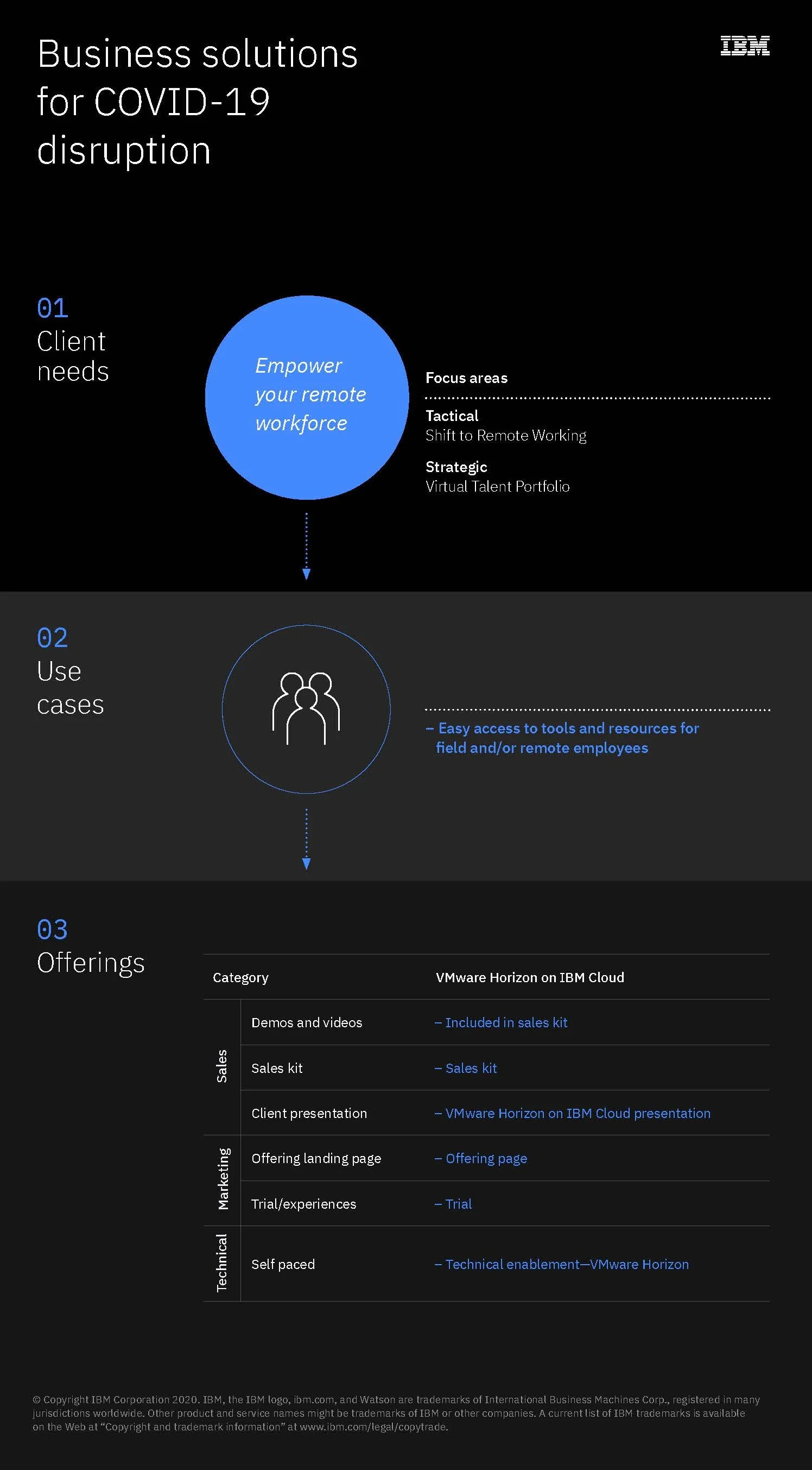 IBM Big 7 Infographic
