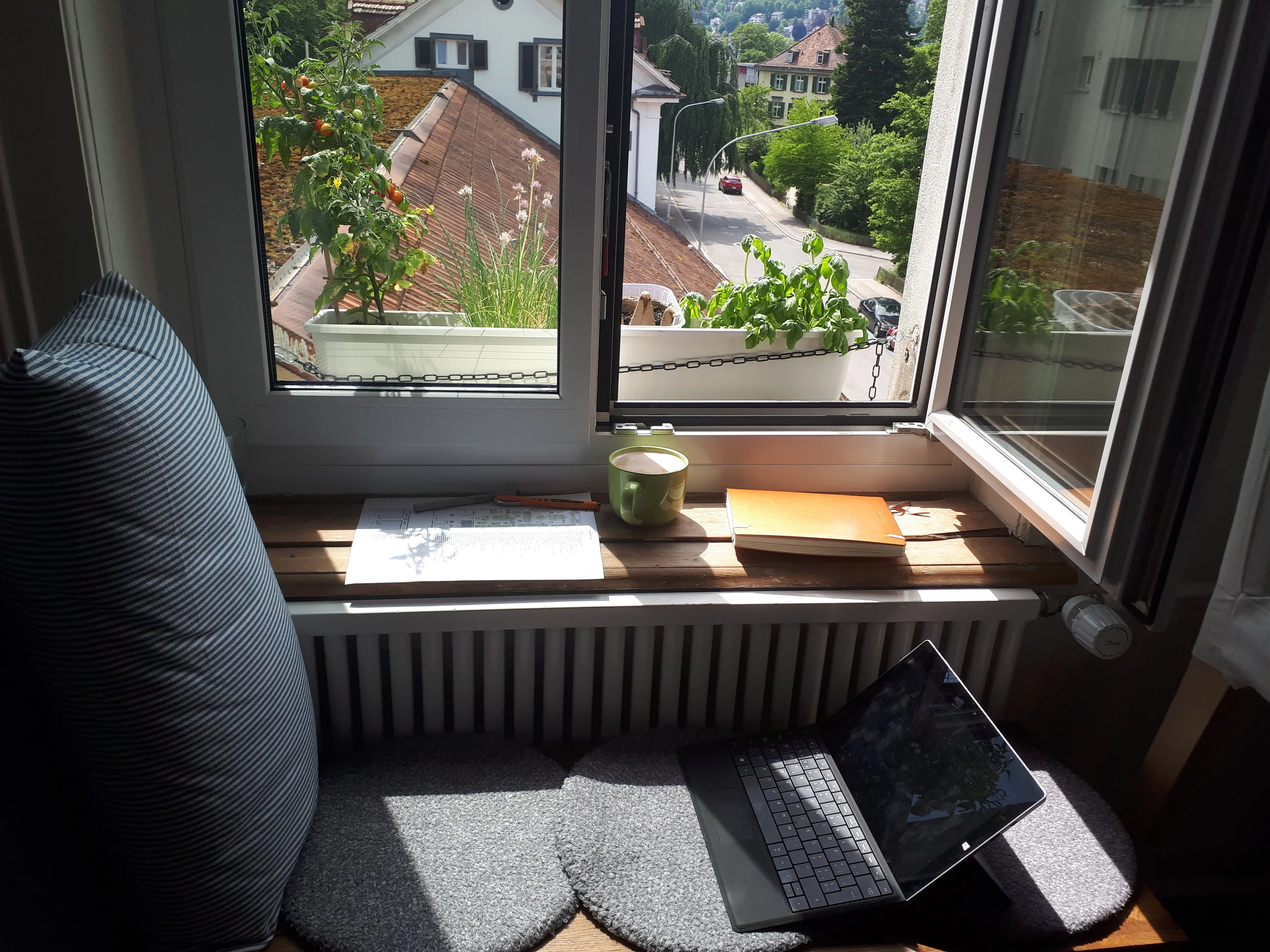 20180603_151731.jpg