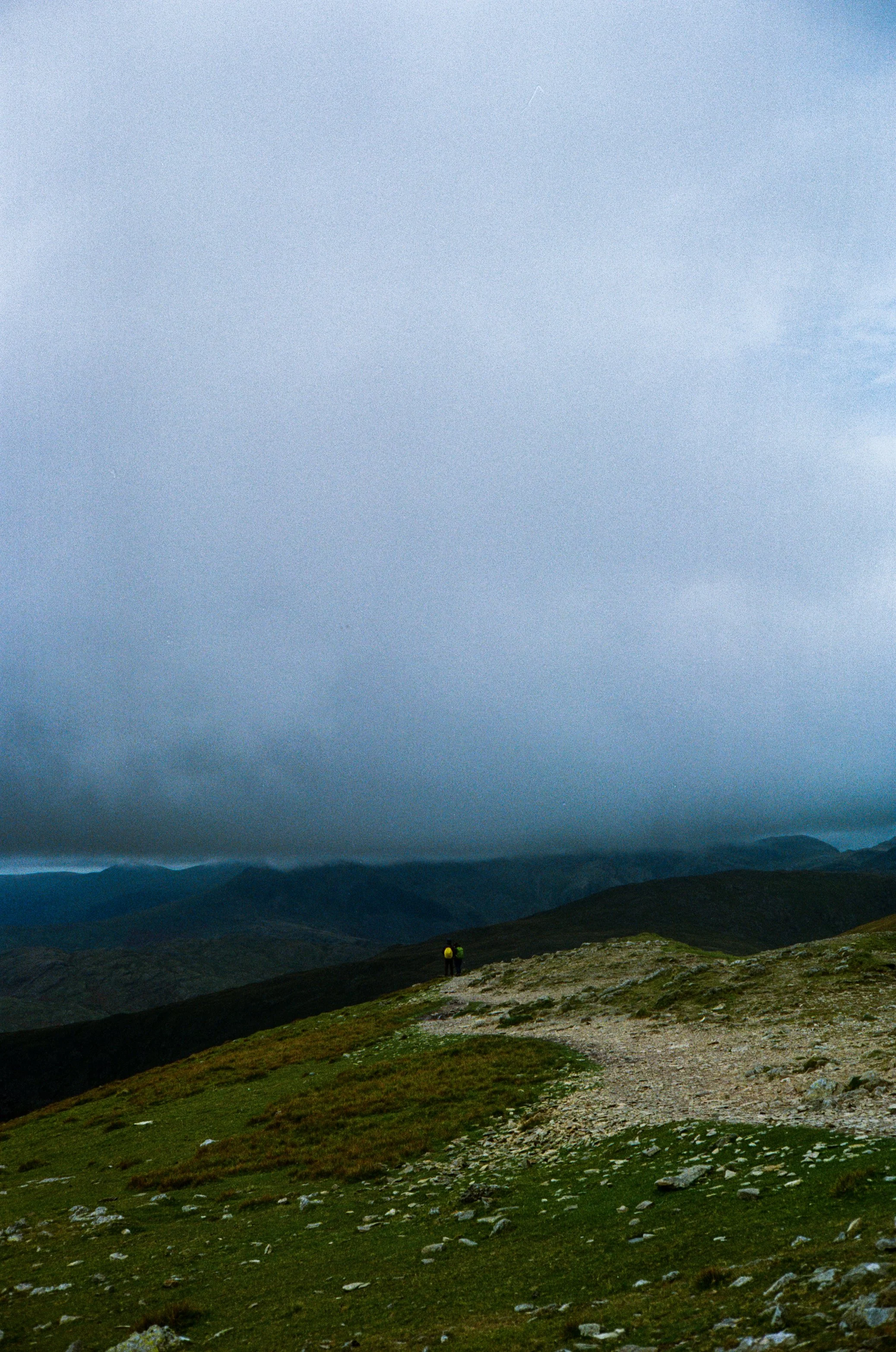 yashica_ektar_summer-099.jpg