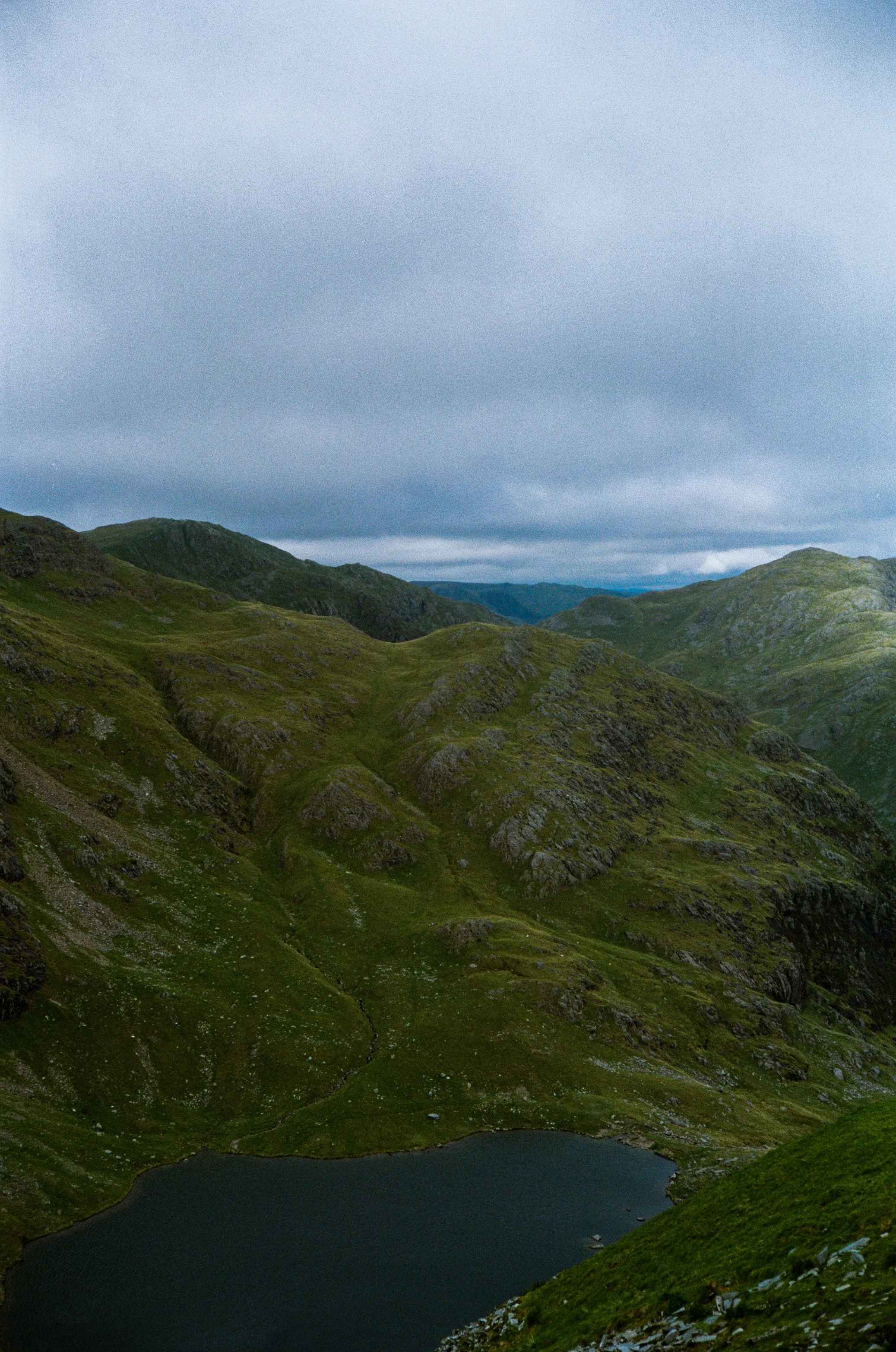 yashica_ektar_summer-103.jpg