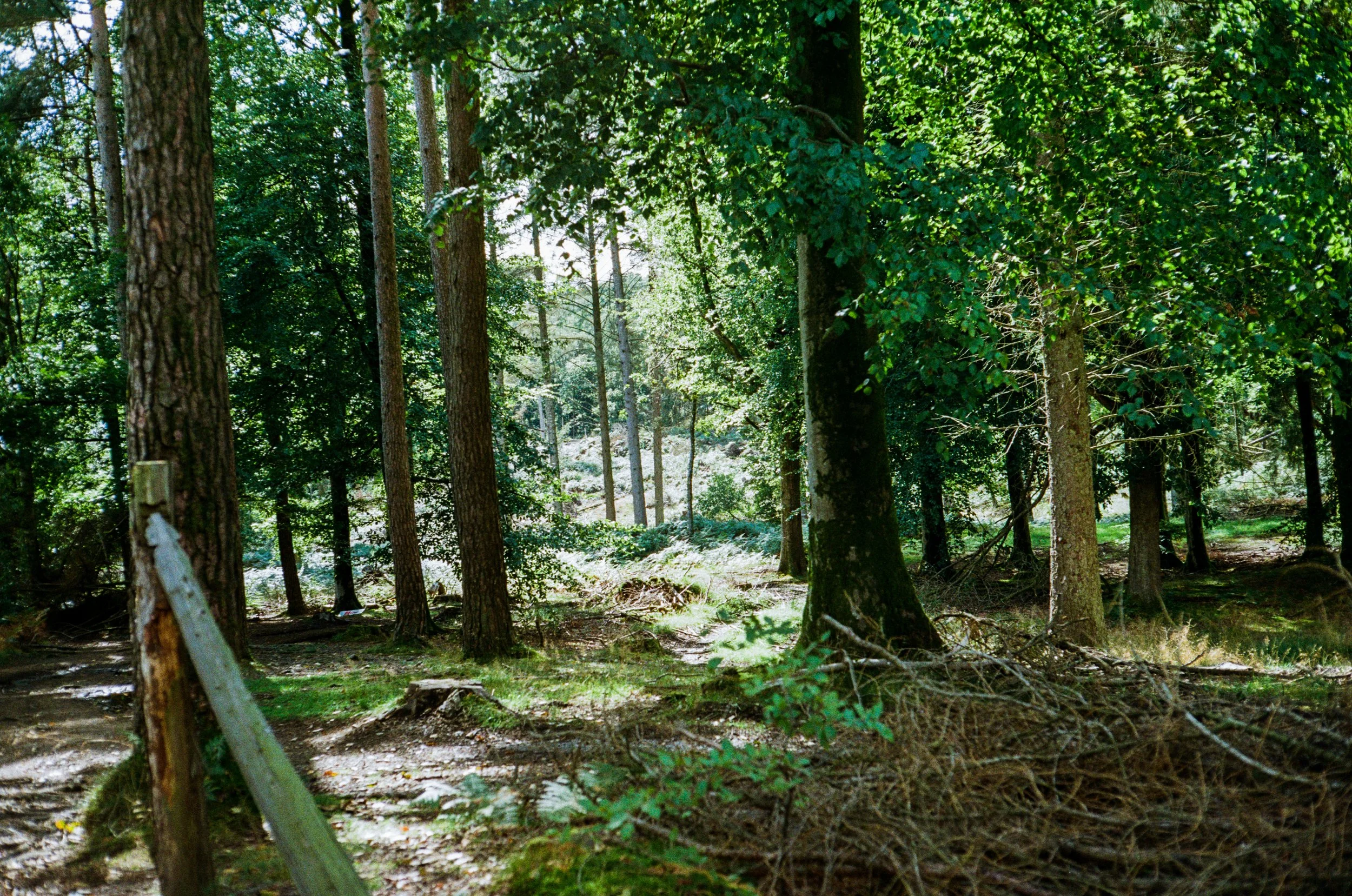 yashica_ektar_summer-113.jpg