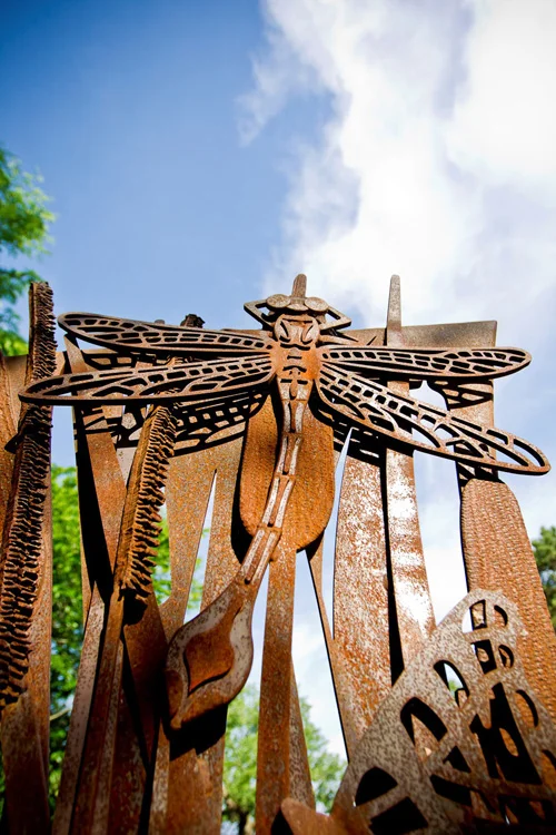 pioneers_park_8.jpg