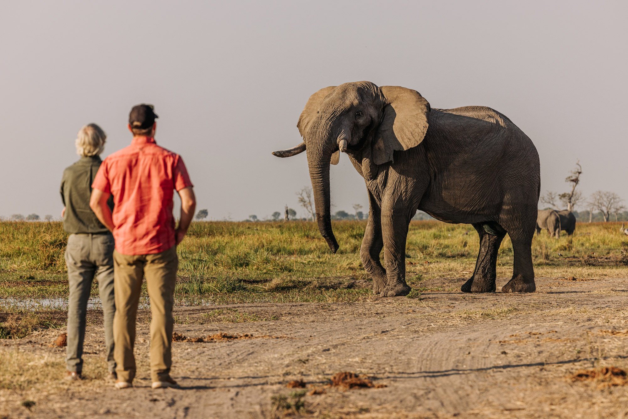 africa-patrick-botswana.jpg