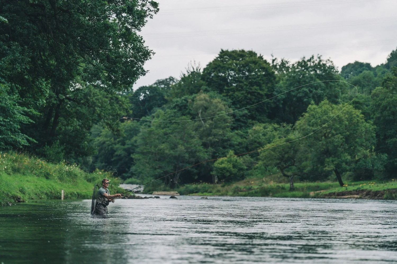 Salmon on the Tyne