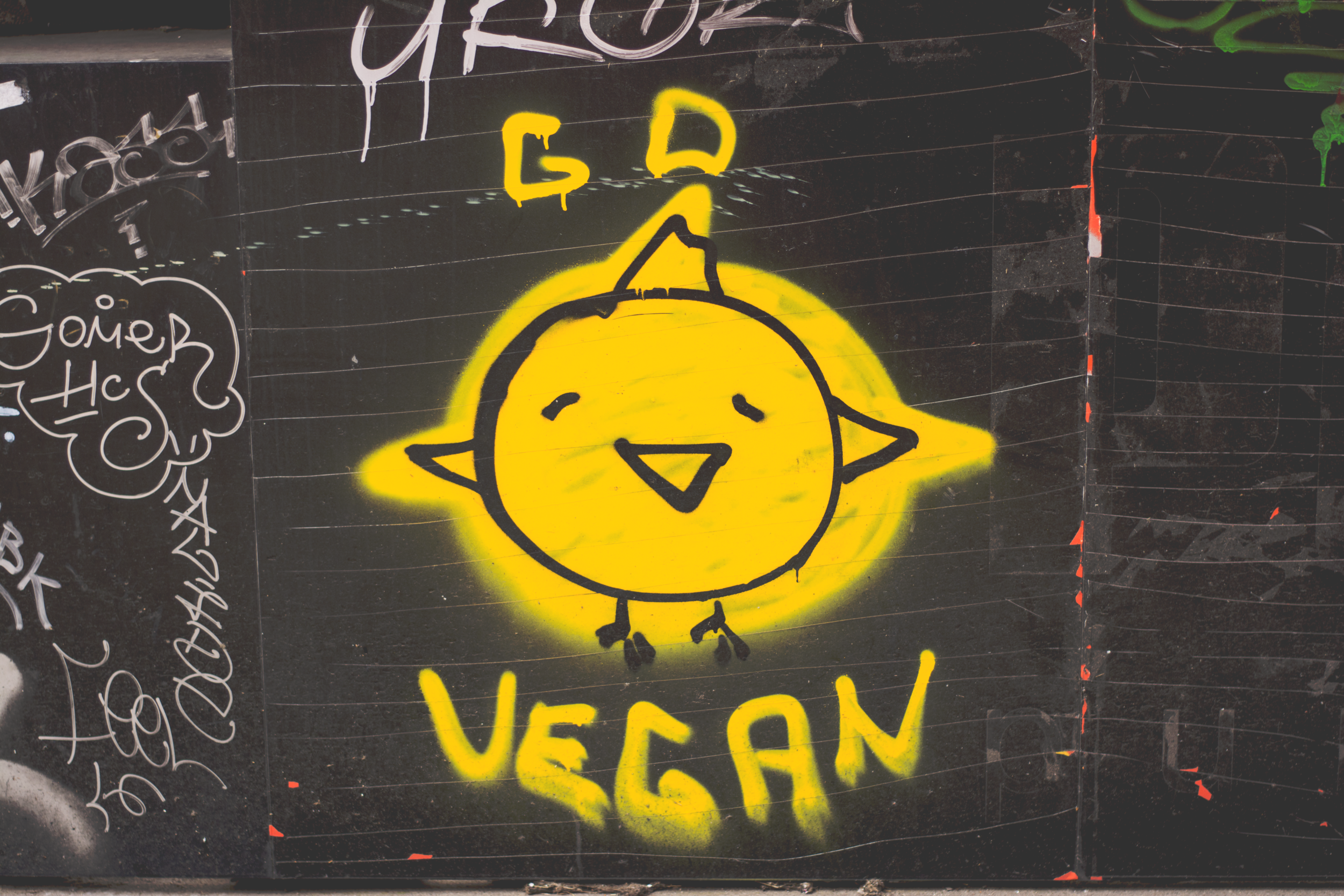GoVegan2.png