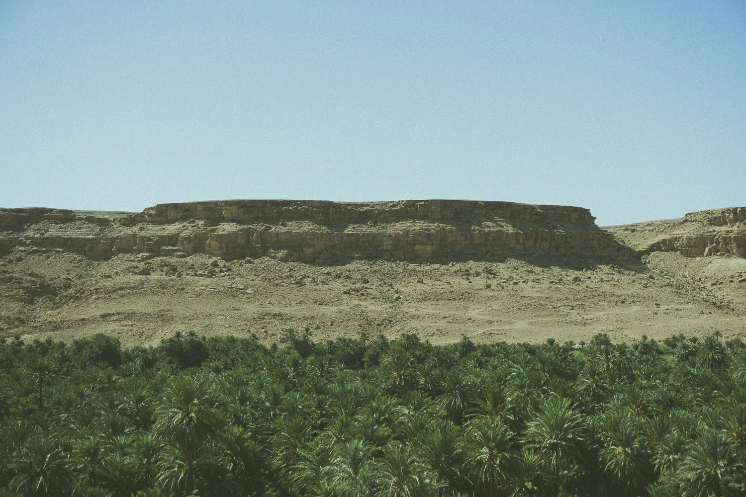 PalmsAndPlateau496.JPG
