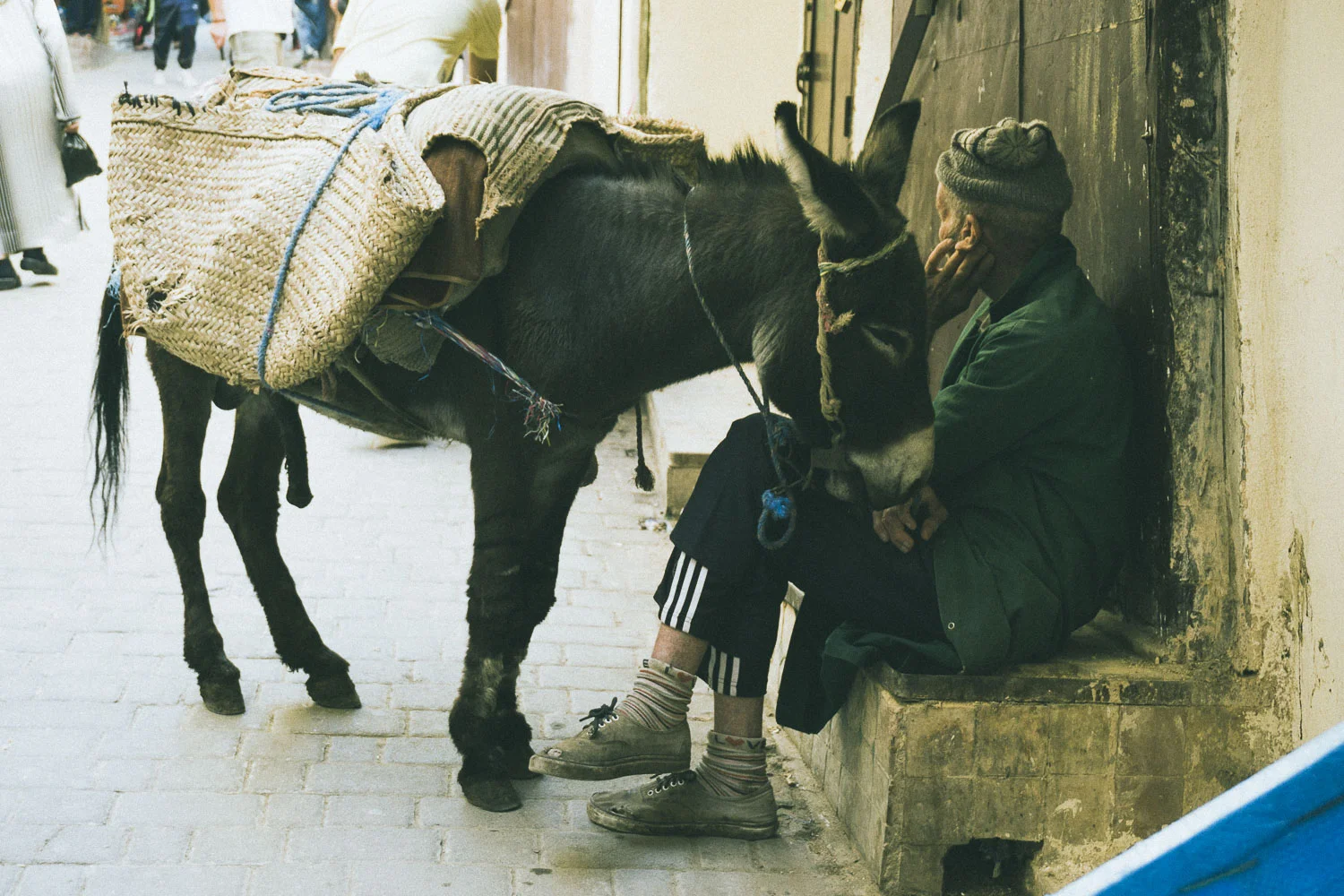oldmananddonkey4493.JPG
