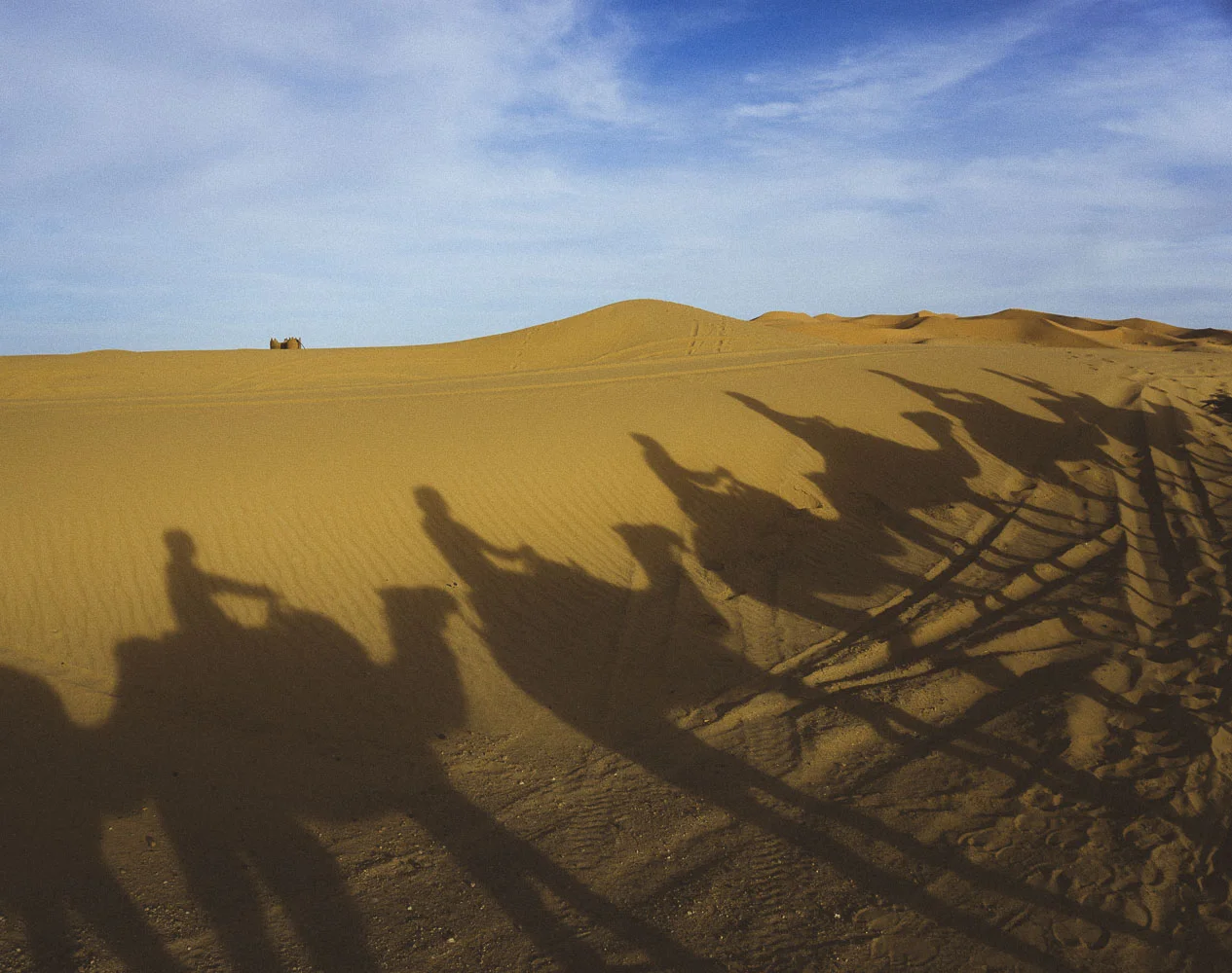 CamelShadows7371.JPG