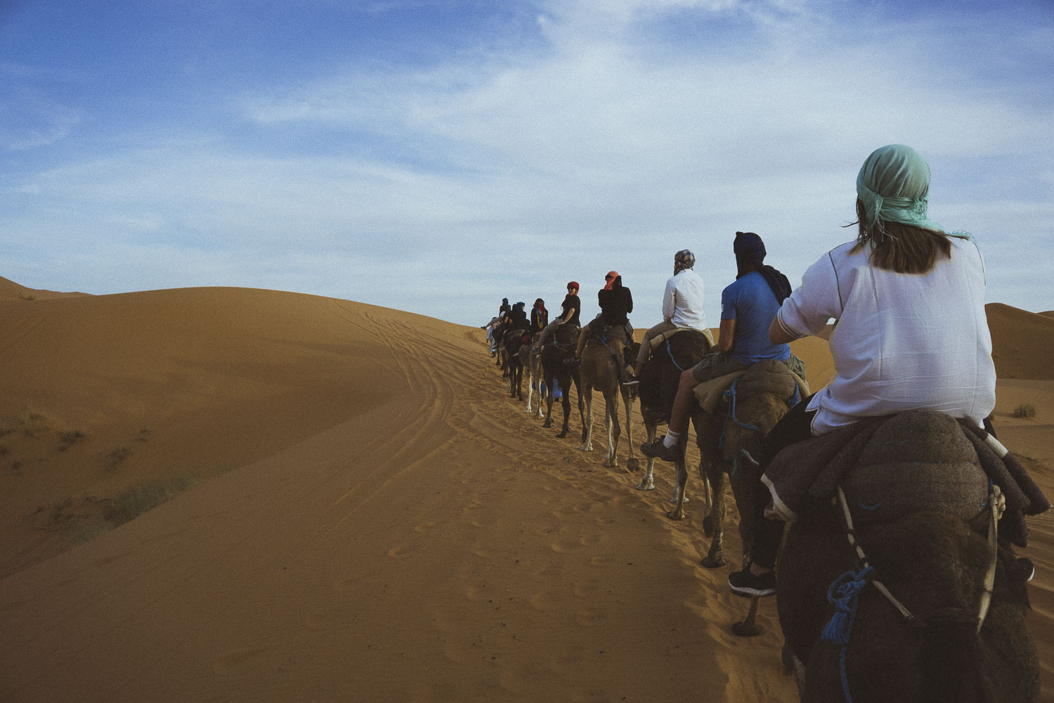 CamelCrew7375.JPG