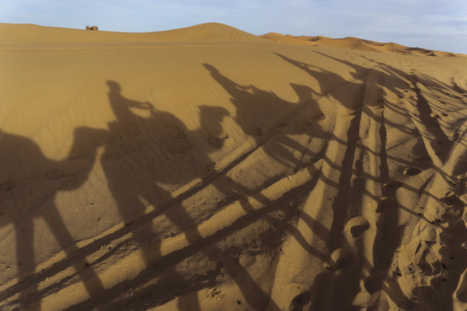 CamelShadows6411.JPG